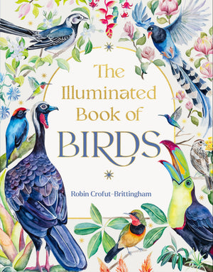 Illuminated Book Of Birds