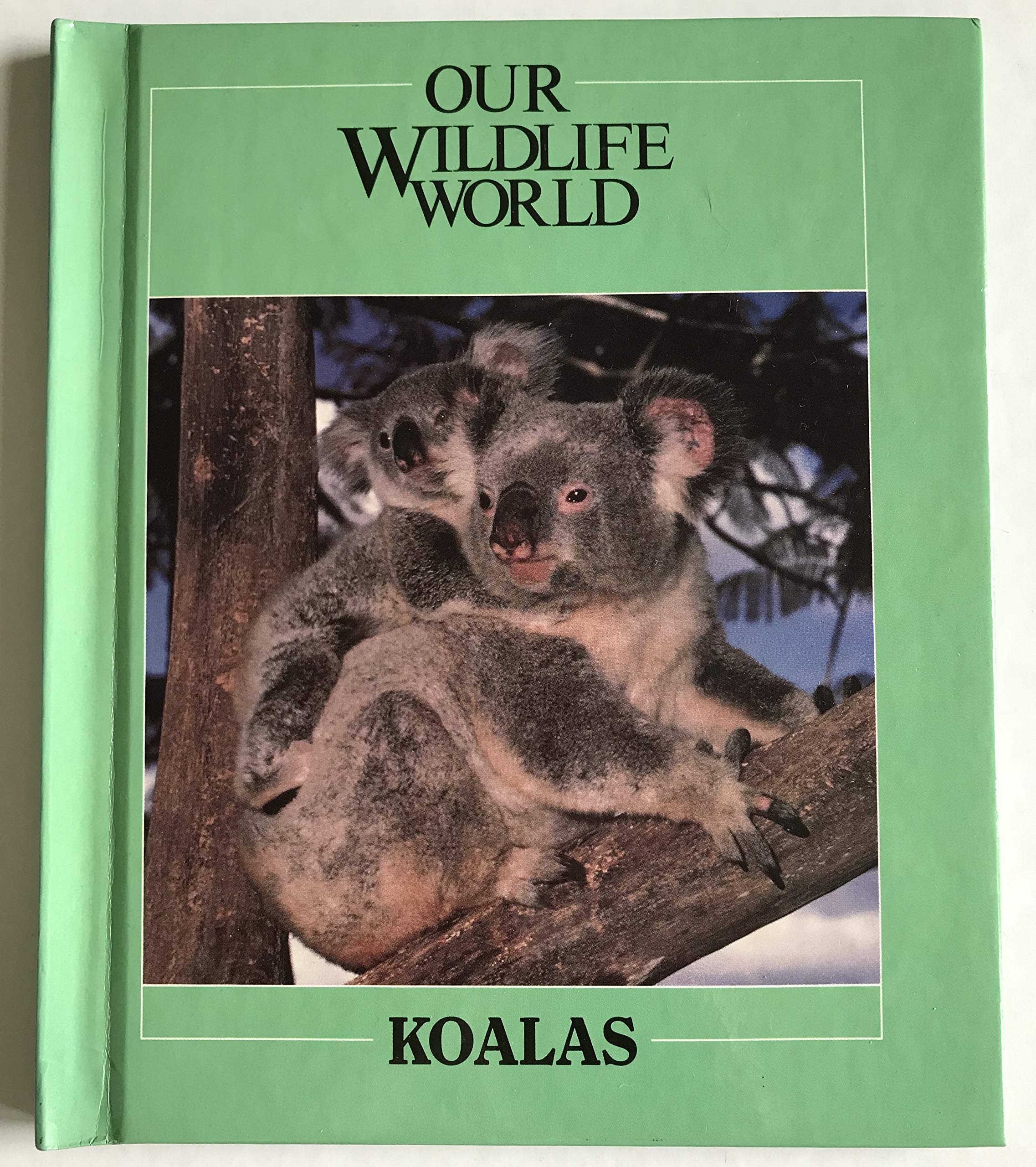 Koalas (Nature'S Children),Used