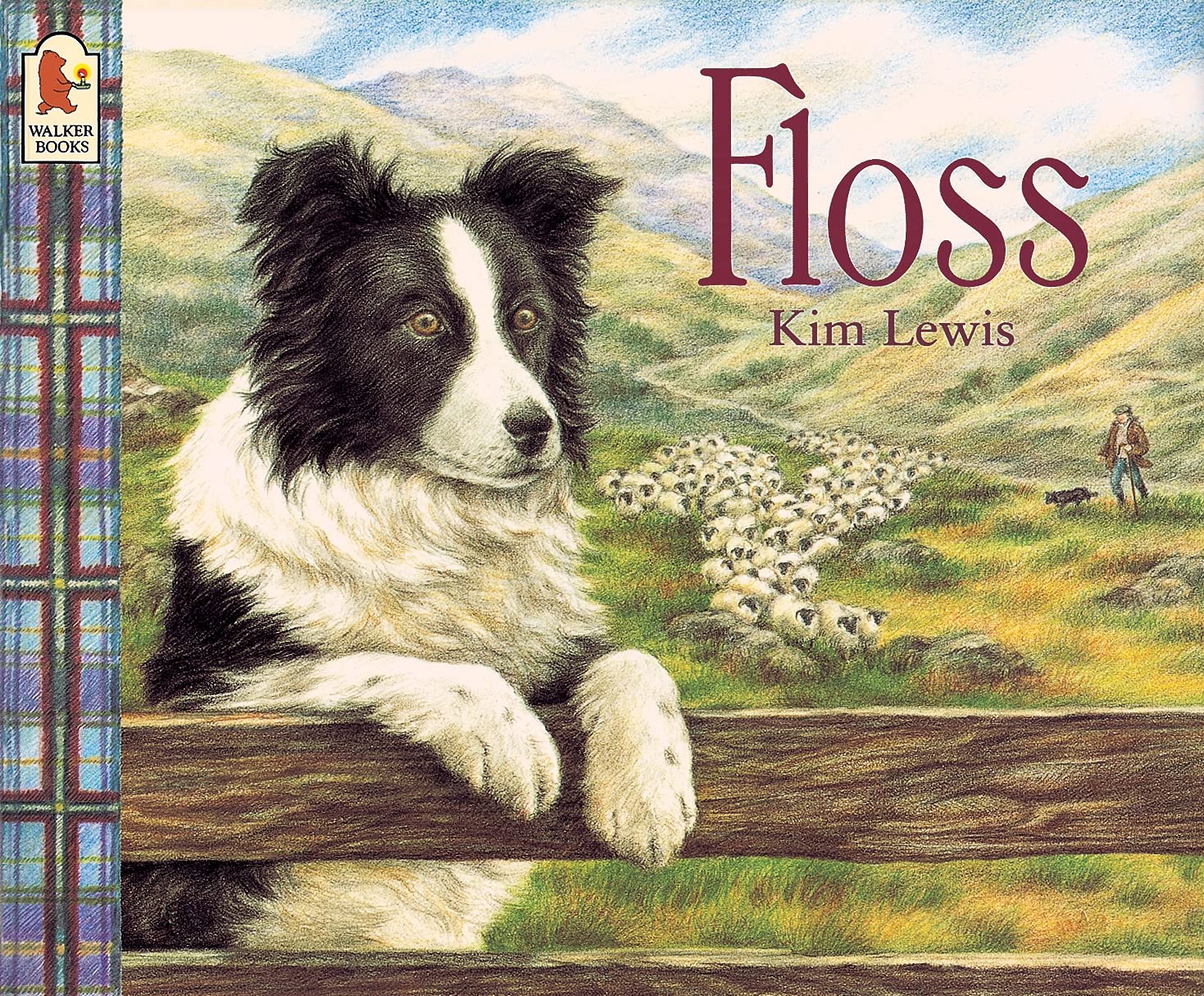 Floss,Used