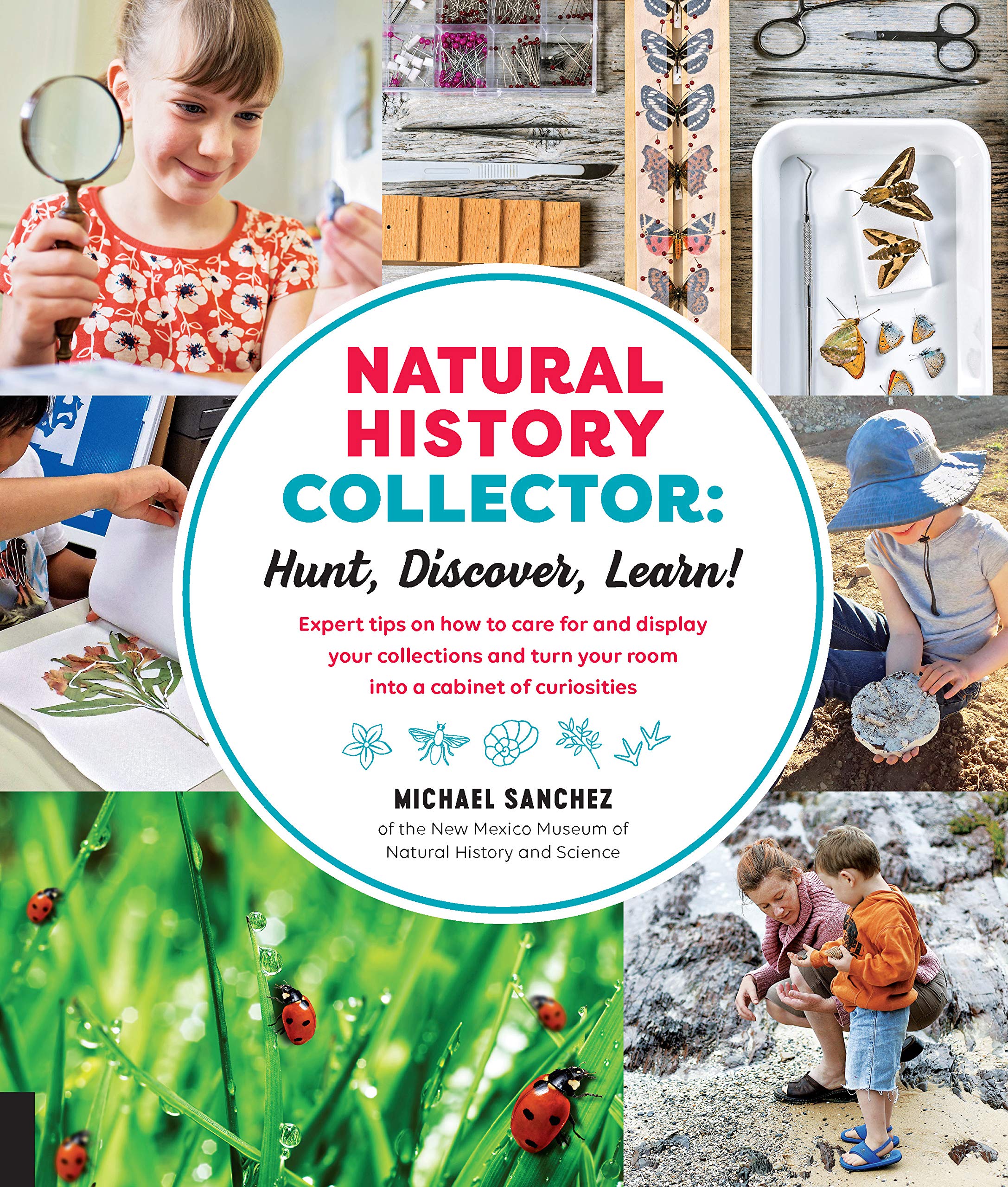 Natural History Collector: Hunt, Discover, Learn!: Expert Tips On How To Care For And Display Your Collections And Turn Your Roo