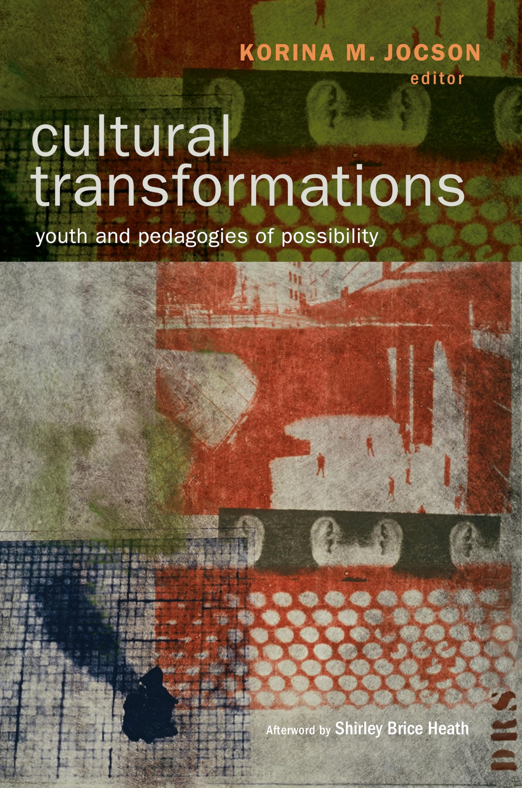 Cultural Transformations: Youth and the Pedagogies of Possibility,Used
