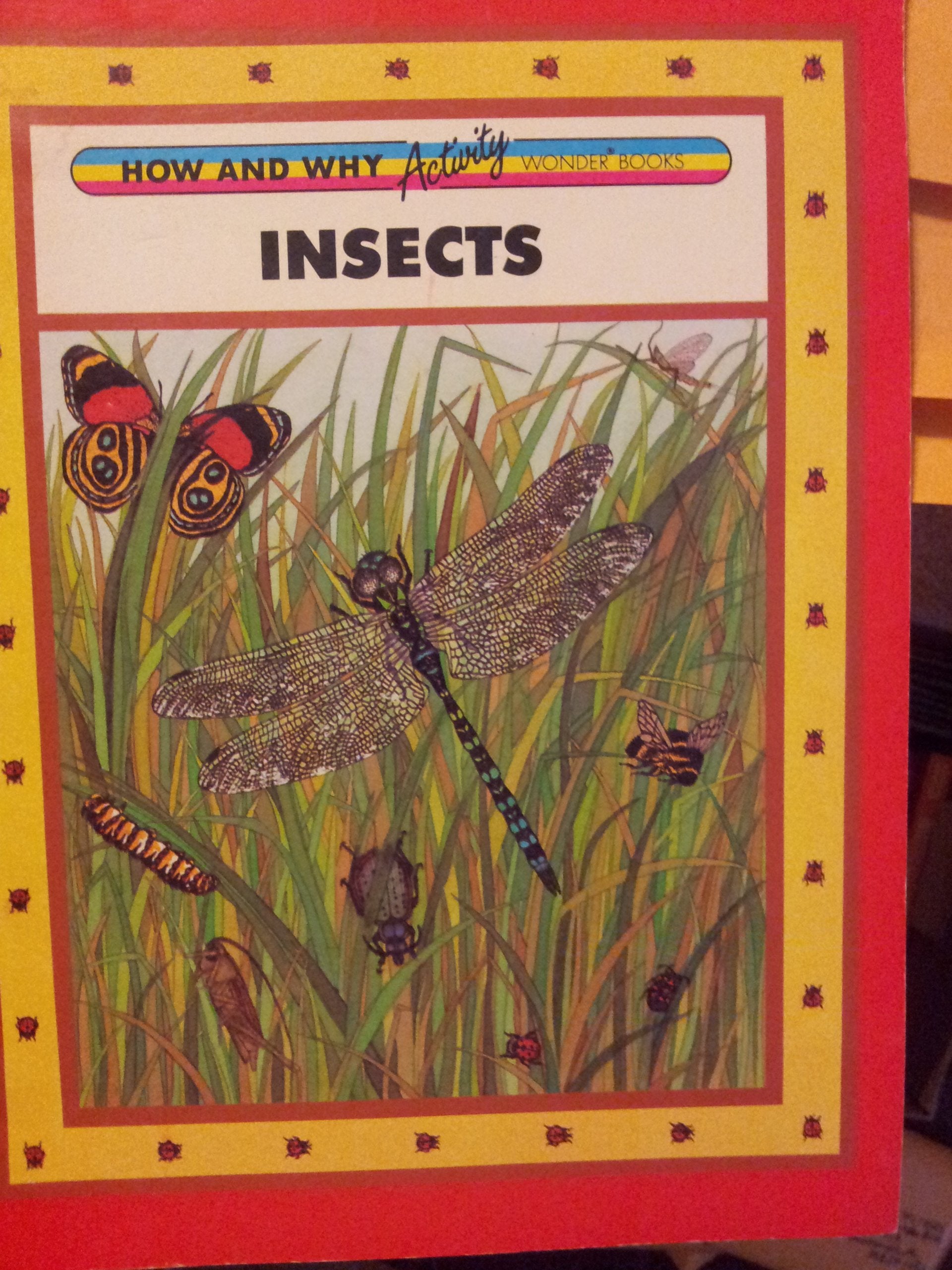 The How and Why Activity Wonder Book of Insects,Used