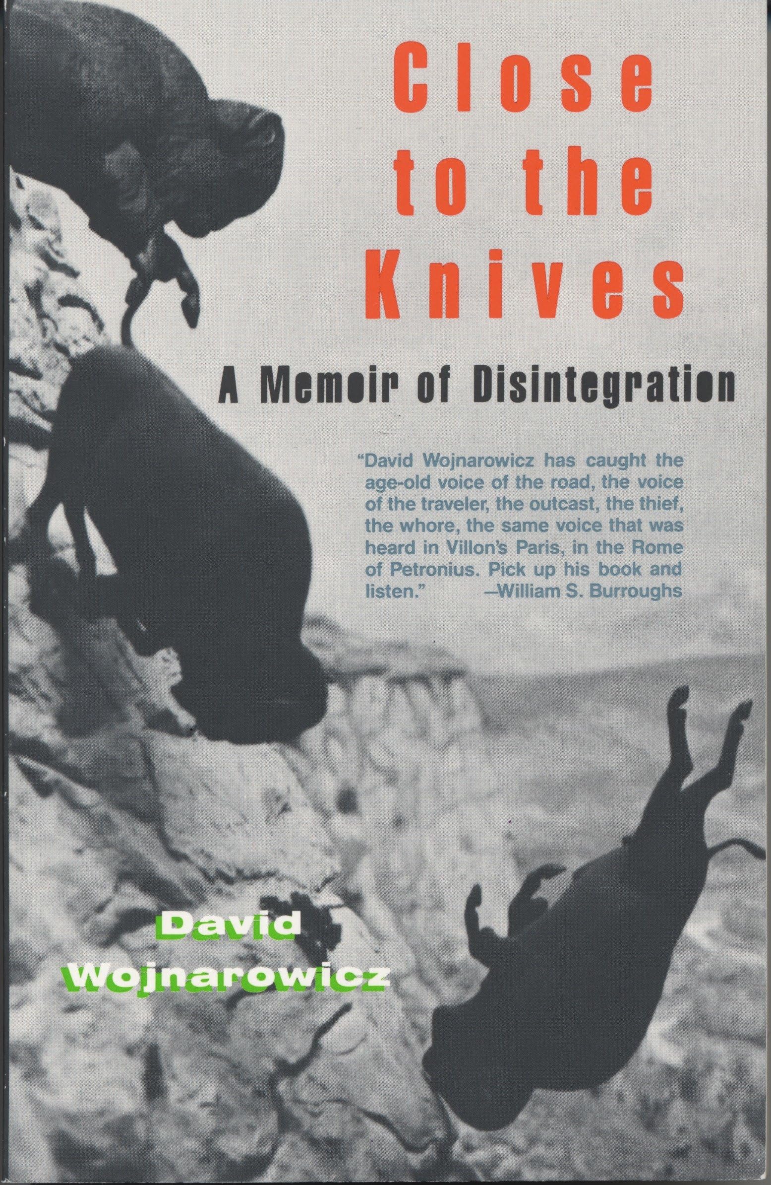 Close To The Knives: A Memoir Of Disintegration