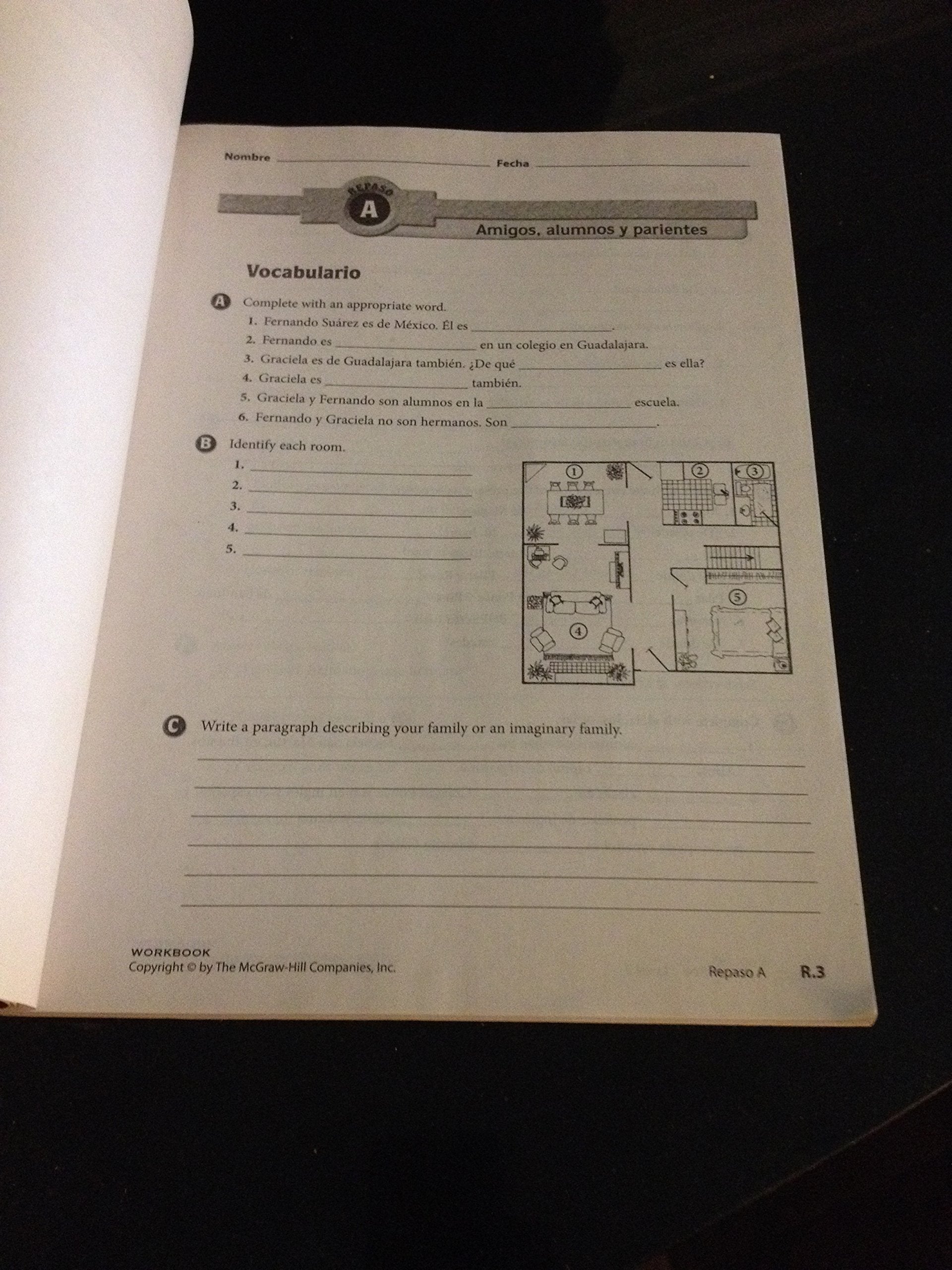 Asi Se Dice!, Volume 2: Workbook And Audio Activities (Glencoe Spanish) (Spanish Edition),New
