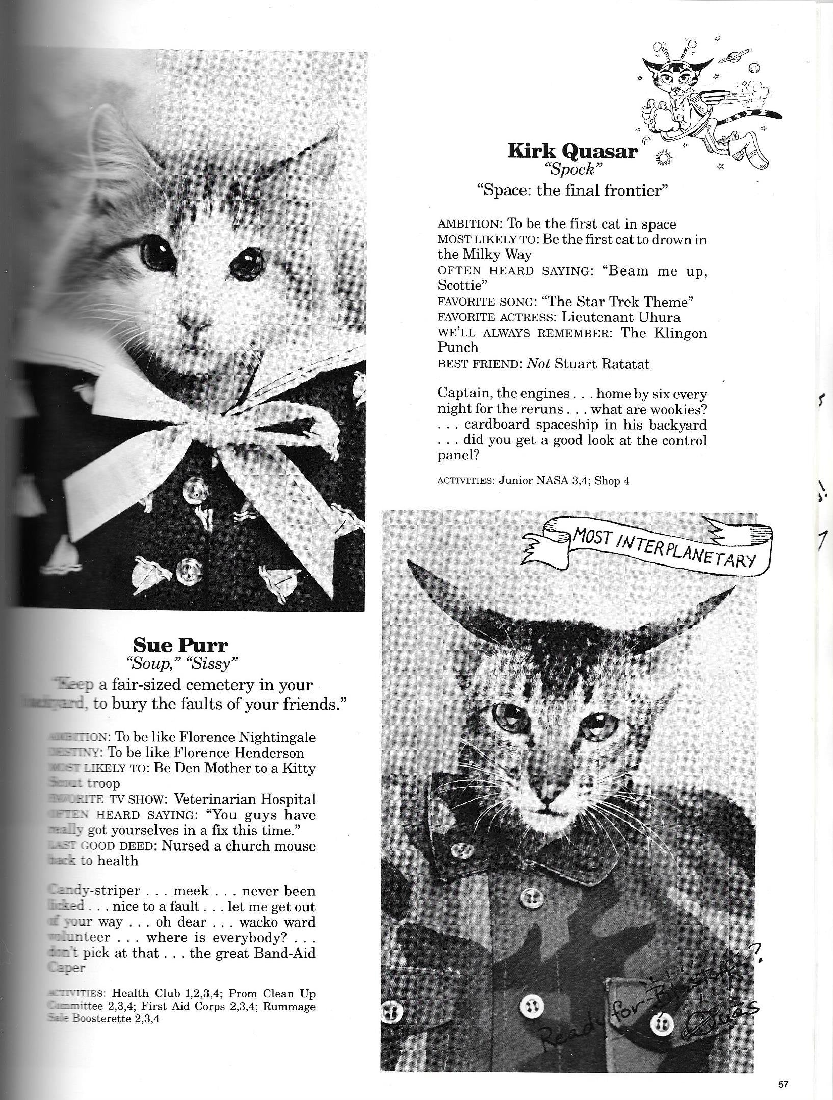 Cat High: The Yearbook,Used