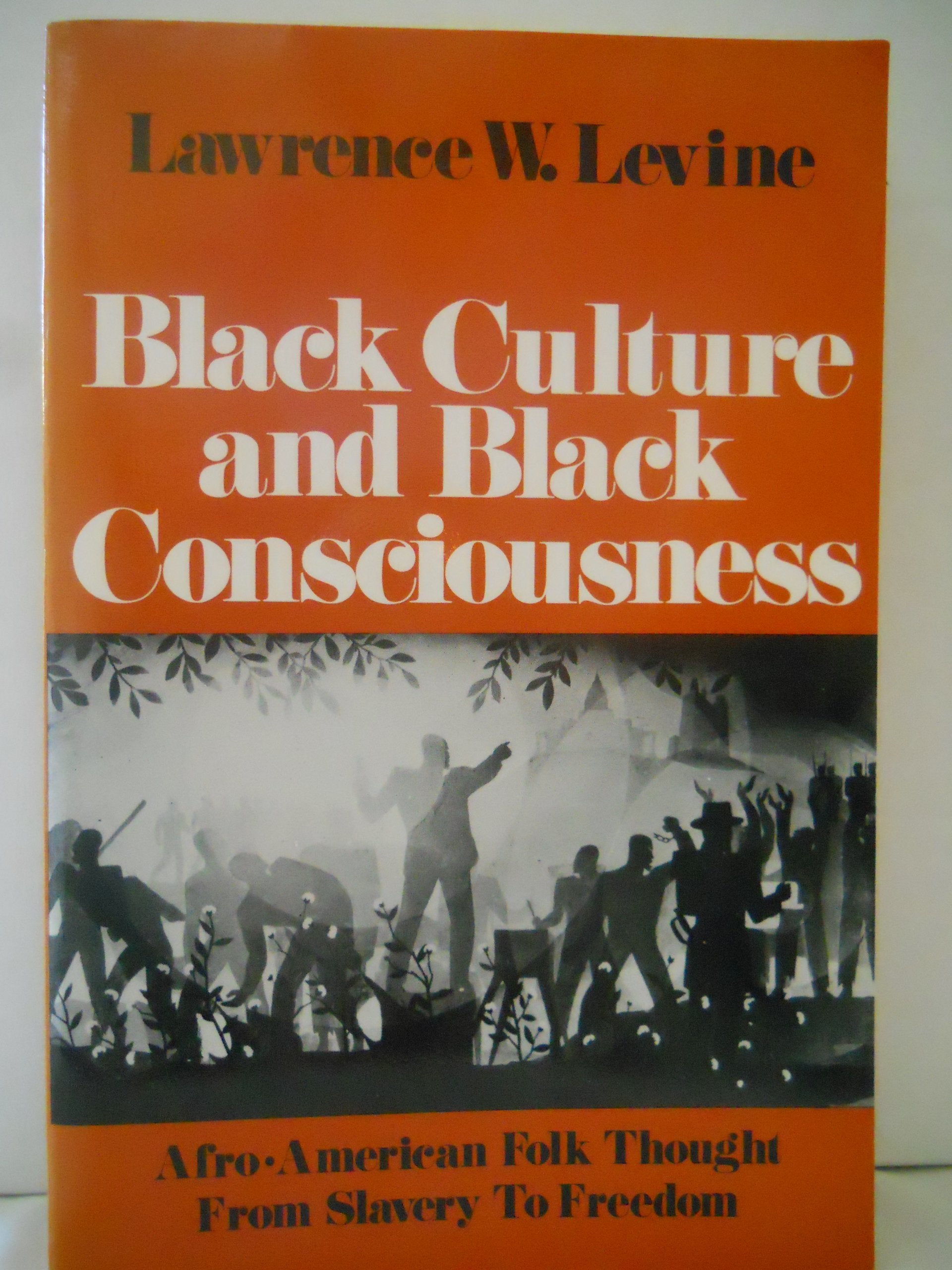 Black Culture and Black Consciousness: AfroAmerican Folk Thought from Slavery to Freedom,Used