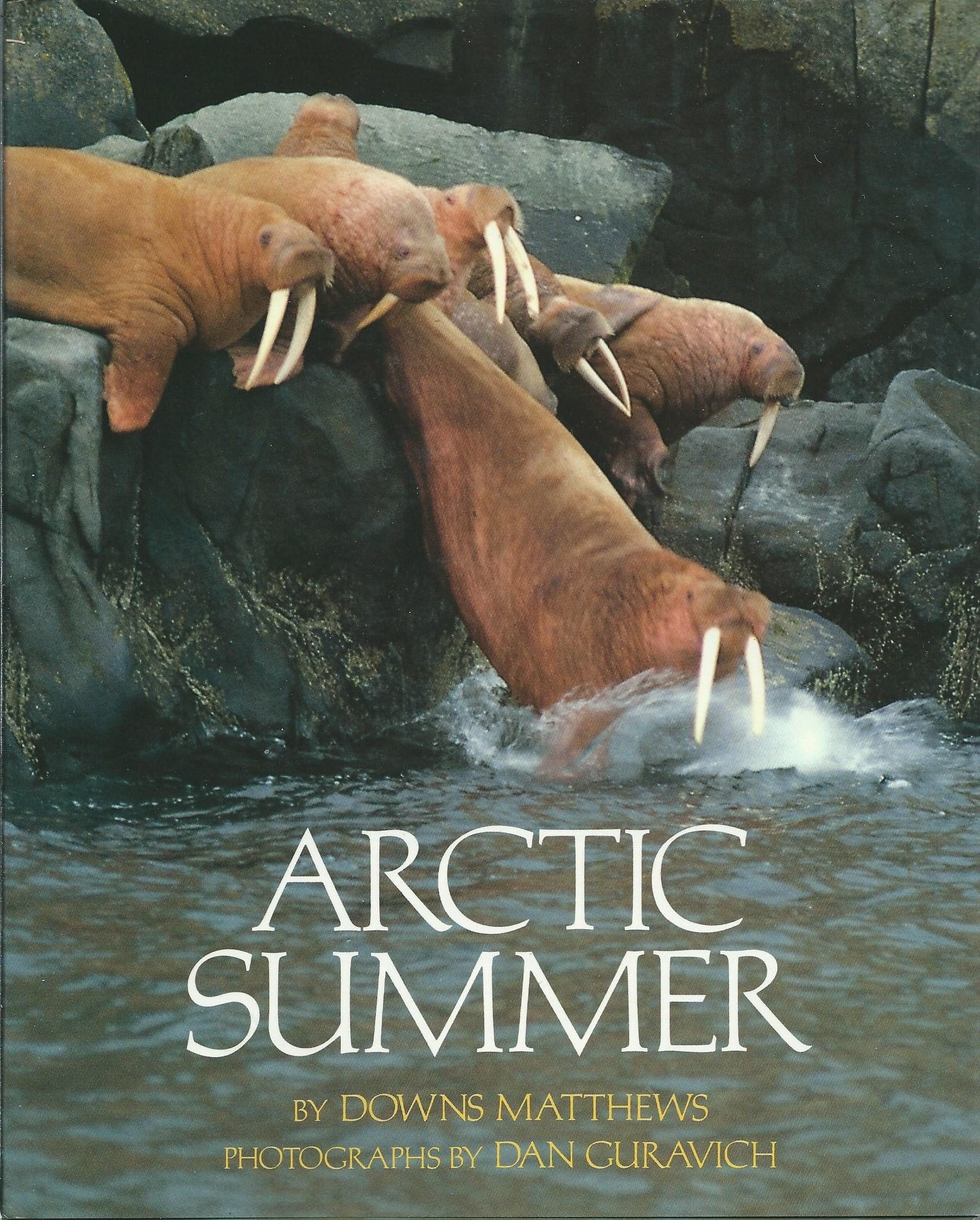 Arctic Summer,Used