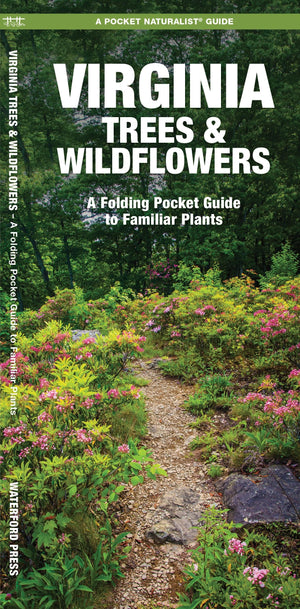 Virginia Trees & Wildflowers: A Folding Pocket Guide to Familiar Plants (Wildlife and Nature Identification),Used