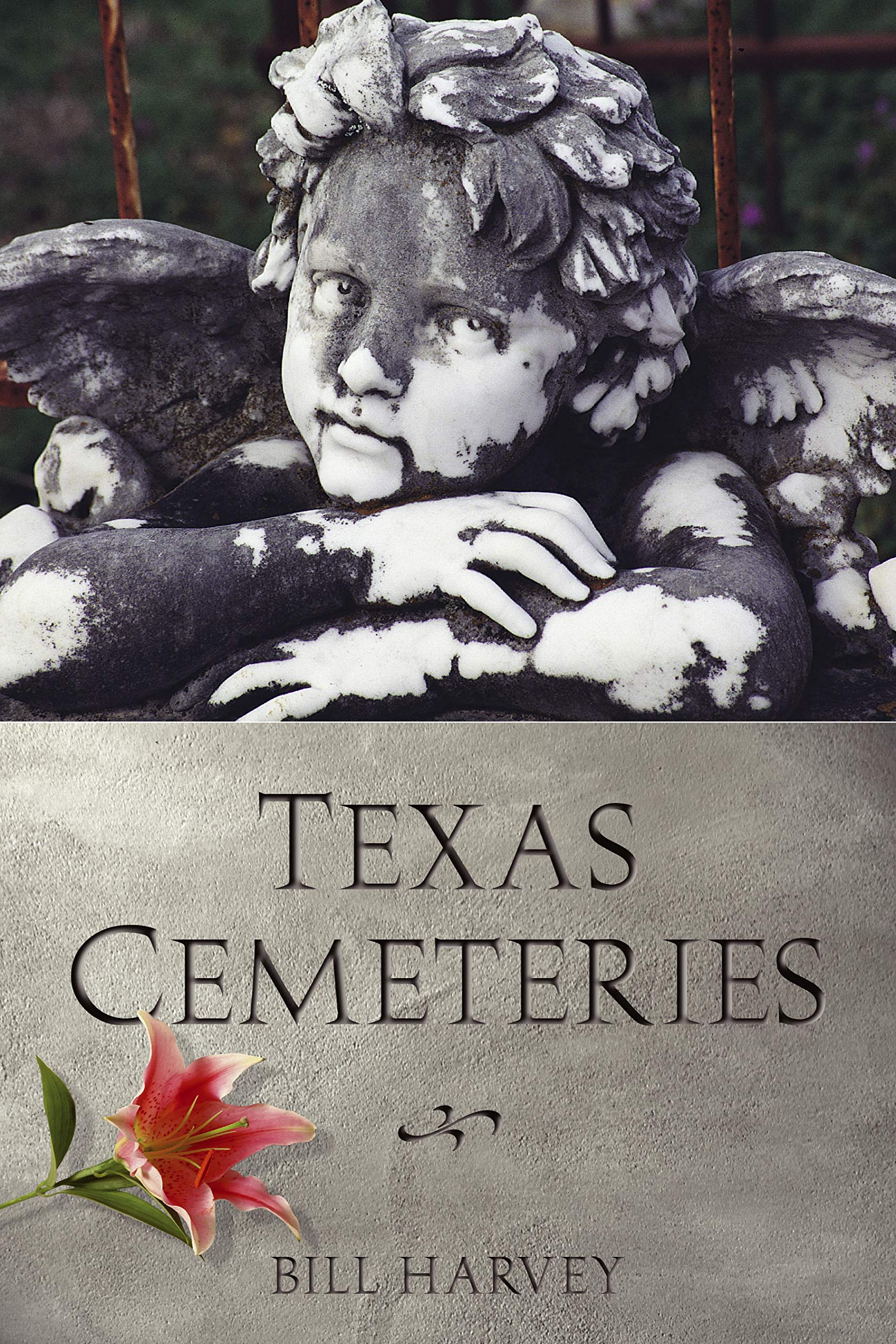 Texas Cemeteries: The Resting Places of Famous, Infamous, and Just Plain Interesting Texans (Clifton and Shirley Caldwell Texas ,Used