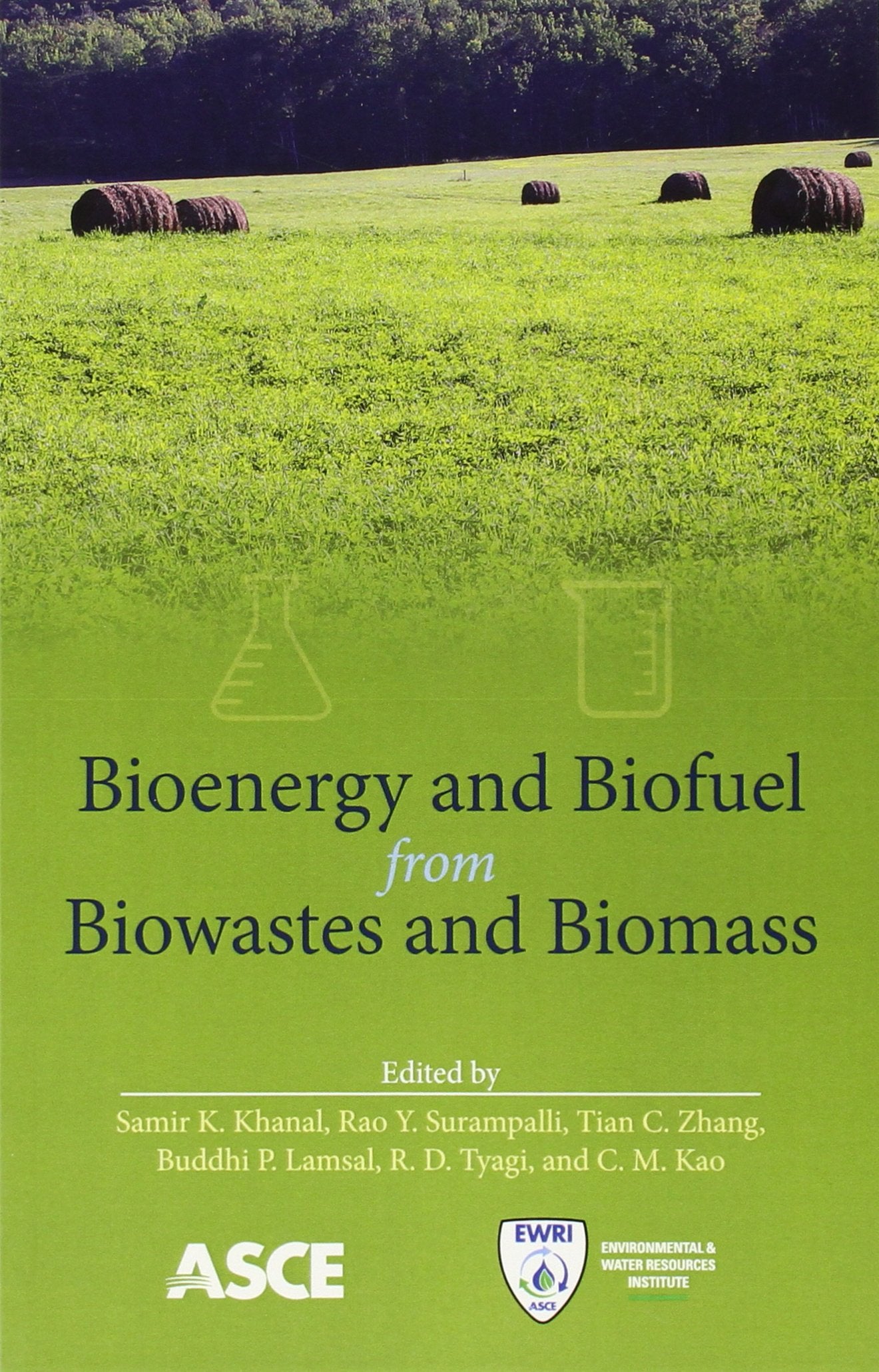 Bioenergy and Biofuel from Biowastes and Biomass,Used