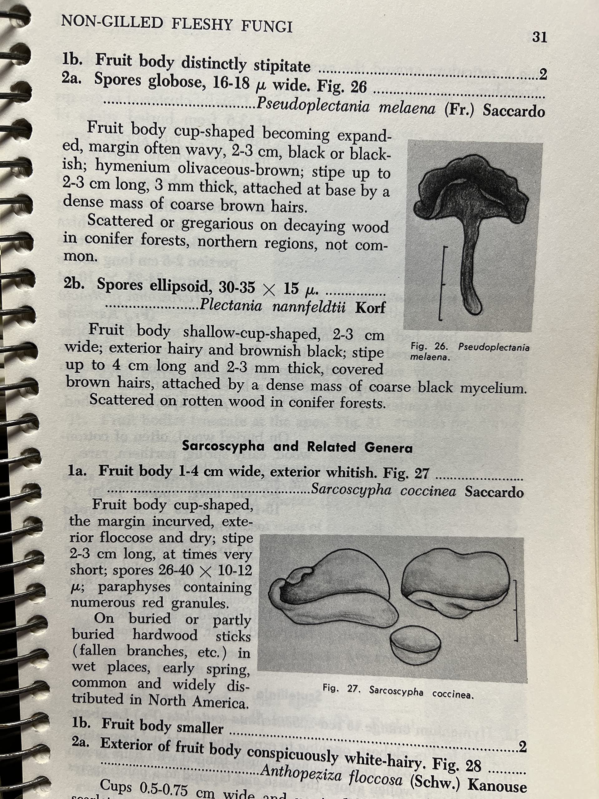 How to Know the NonGilled Fleshy Fungi,Used