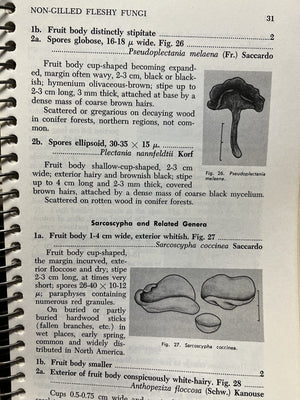 How to Know the NonGilled Fleshy Fungi,Used
