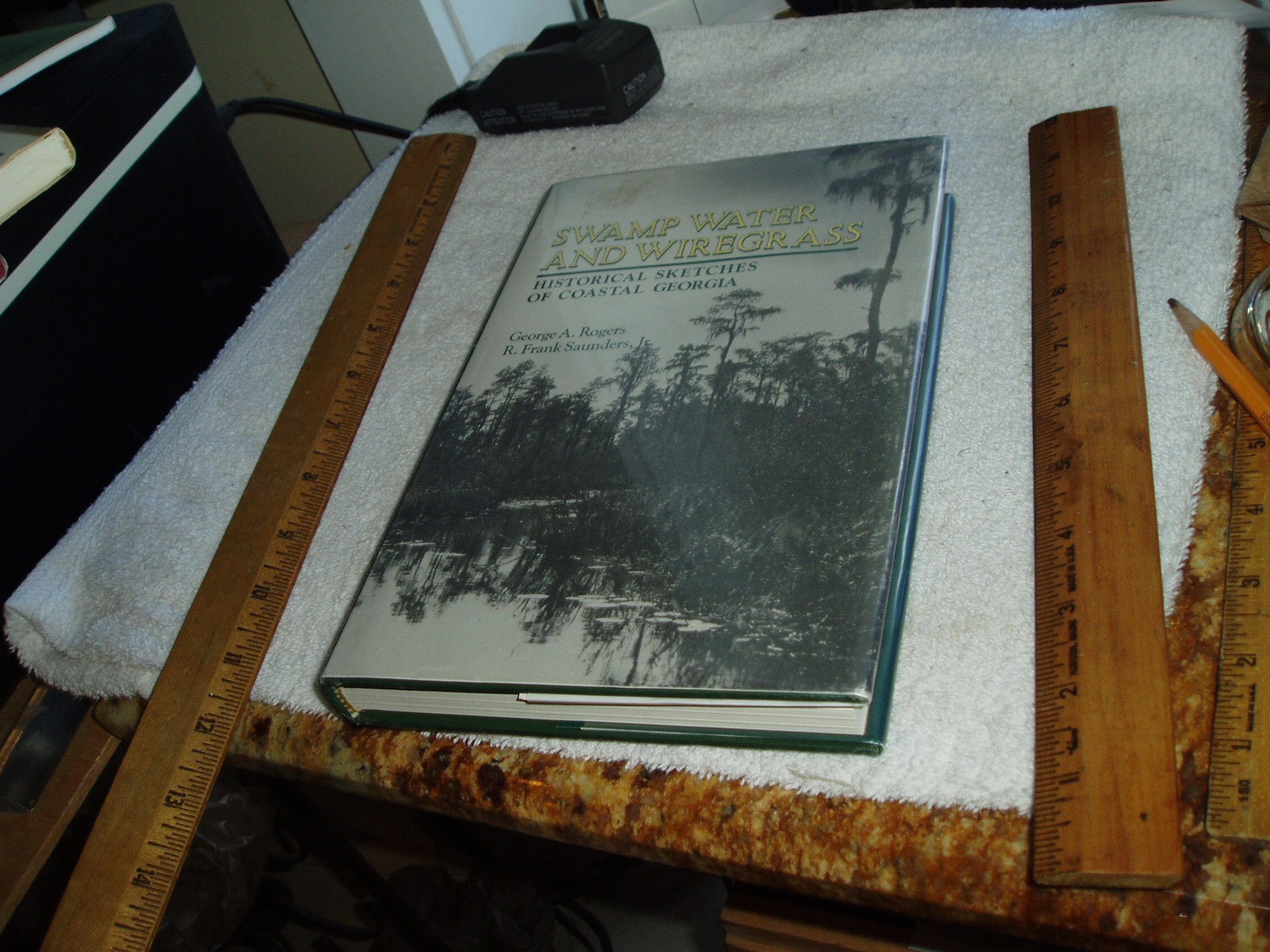 Swamp Water and Wiregrass: Historical Sketches of Coastal Georgia,Used