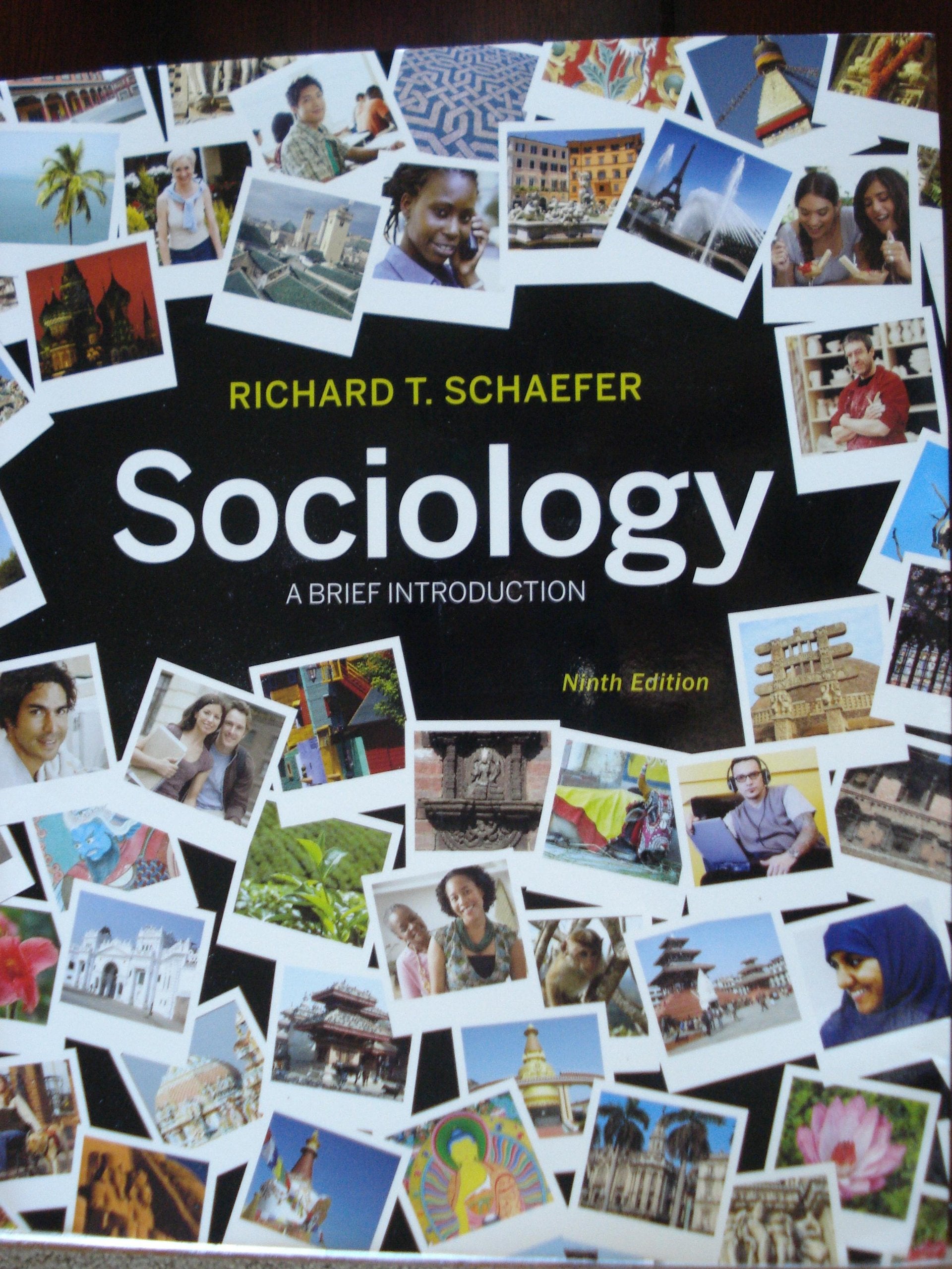 Sociology: A Brief Introduction,Used