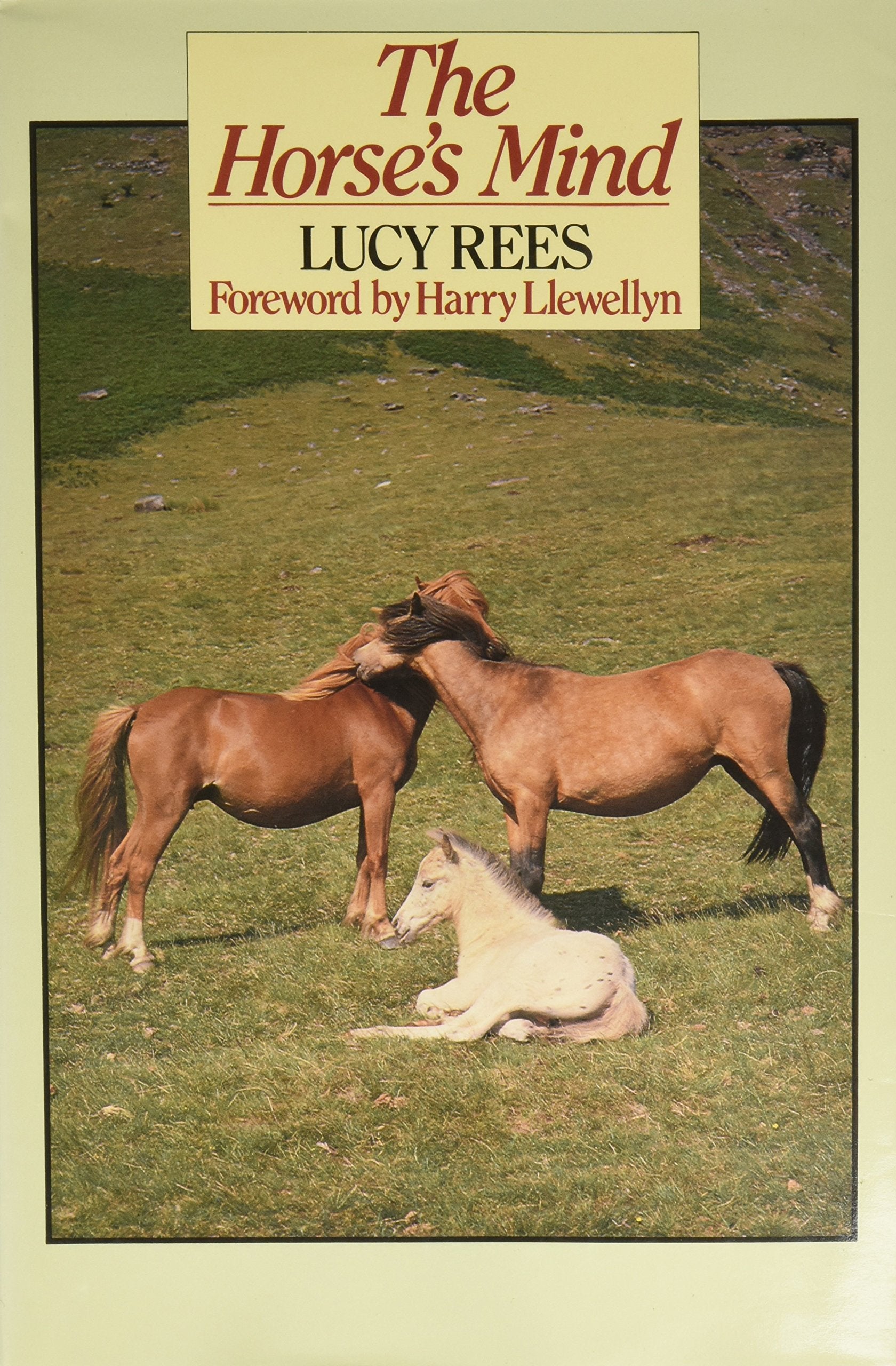 The Horse's Mind,New