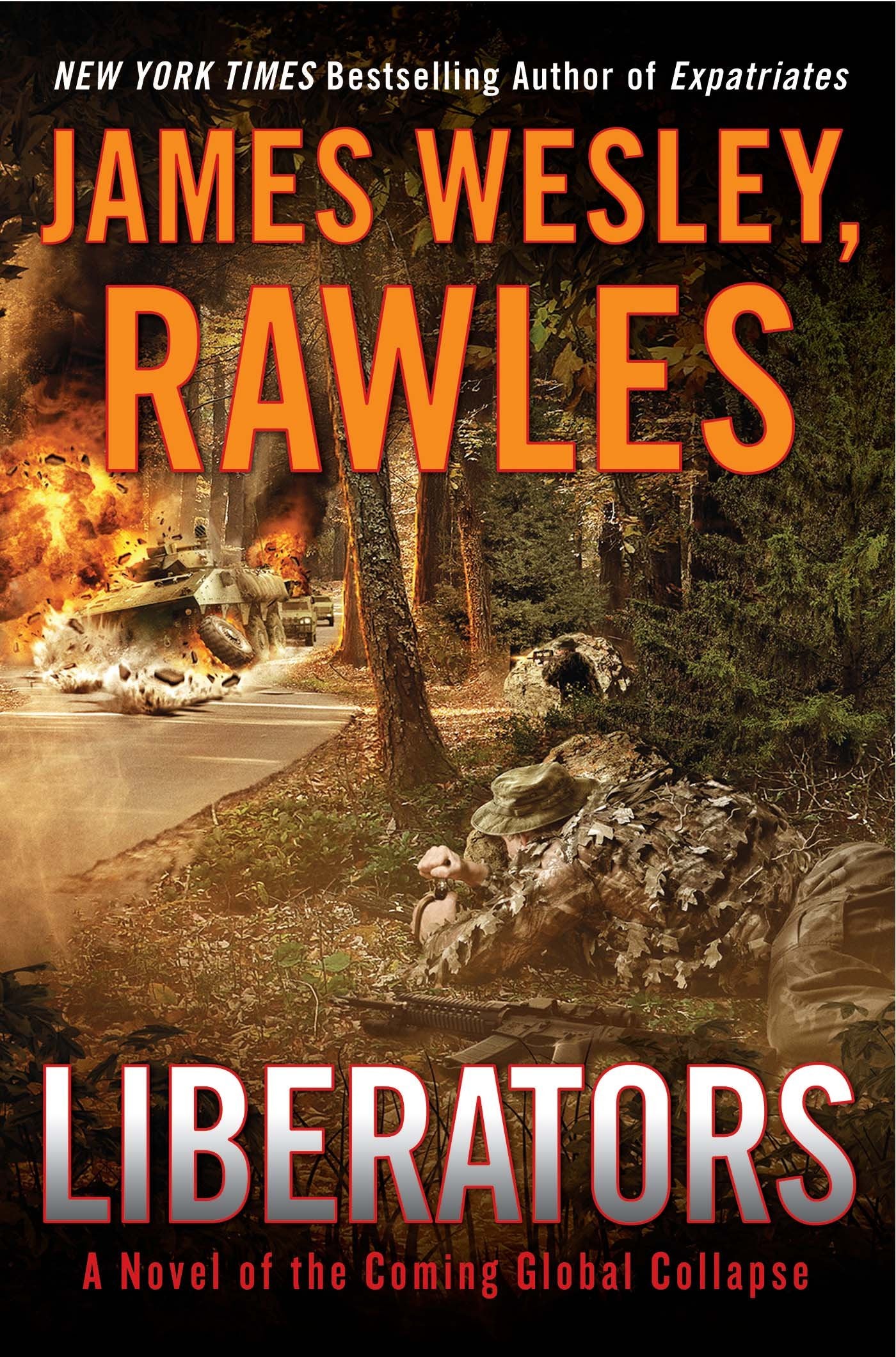 Liberators: A Novel Of The Coming Global Collapse-used