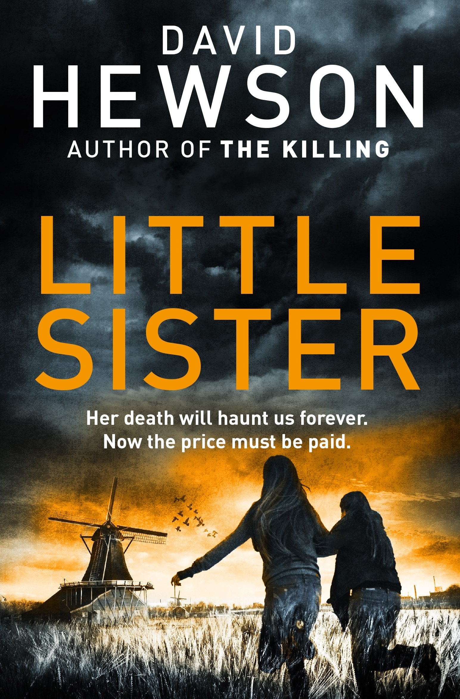 Little Sister (Detective Pieter Vos) [Paperback] DAVID HEWSON,Used