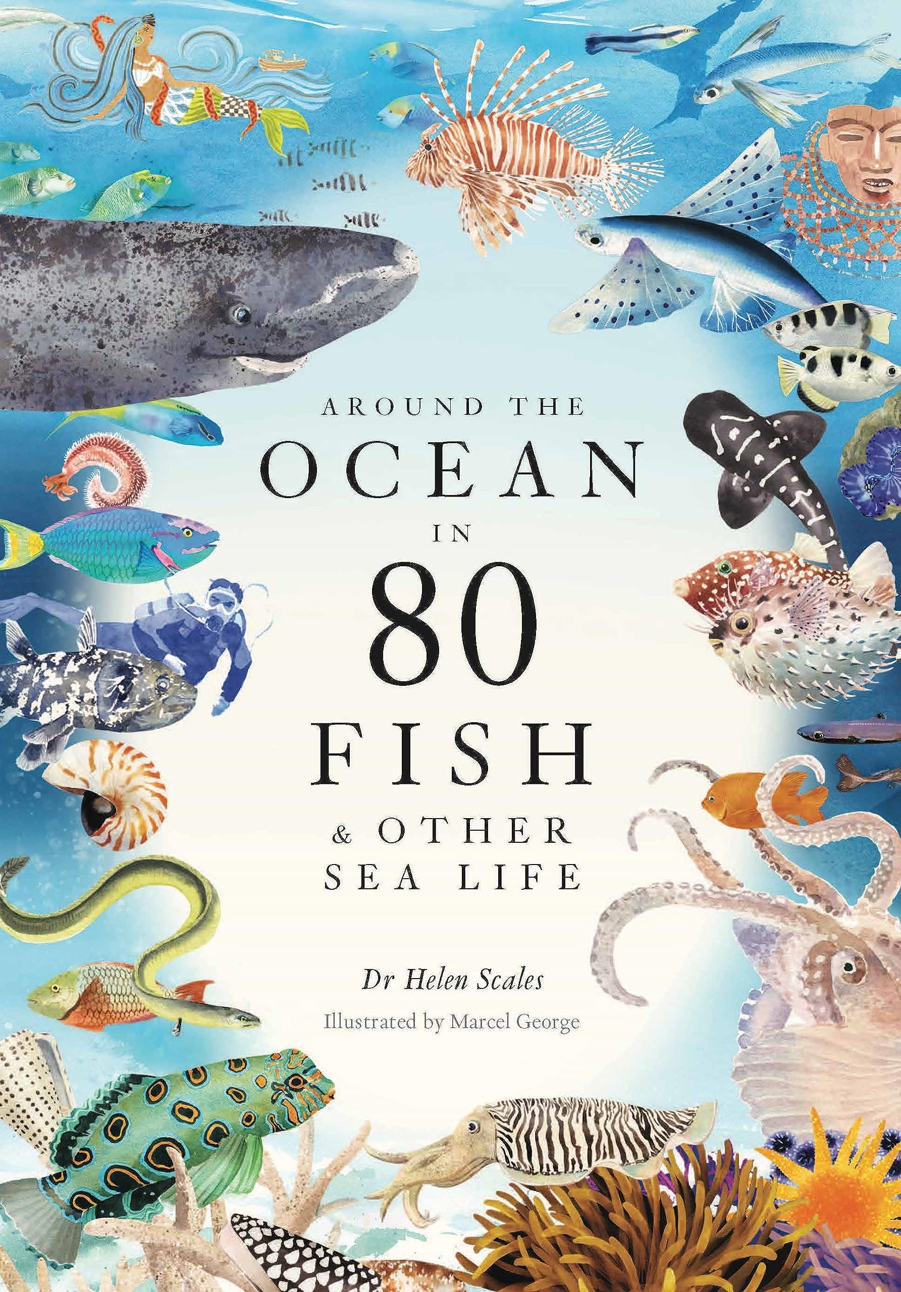 Around The Ocean In 80 Fish And Other Sea Life (),Used