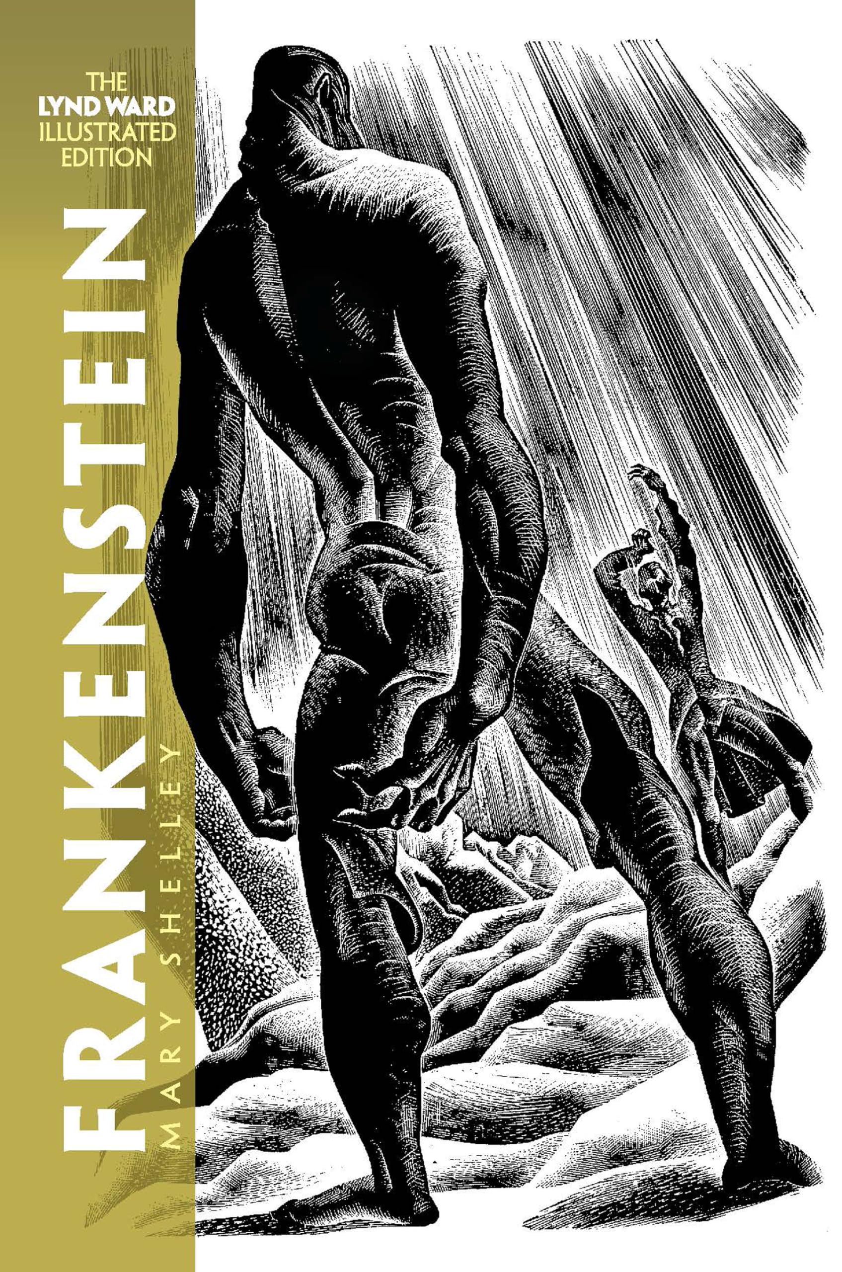 Frankenstein: The Lynd Ward Illustrated Edition (Dover Literature: Gothic/Horror)-used