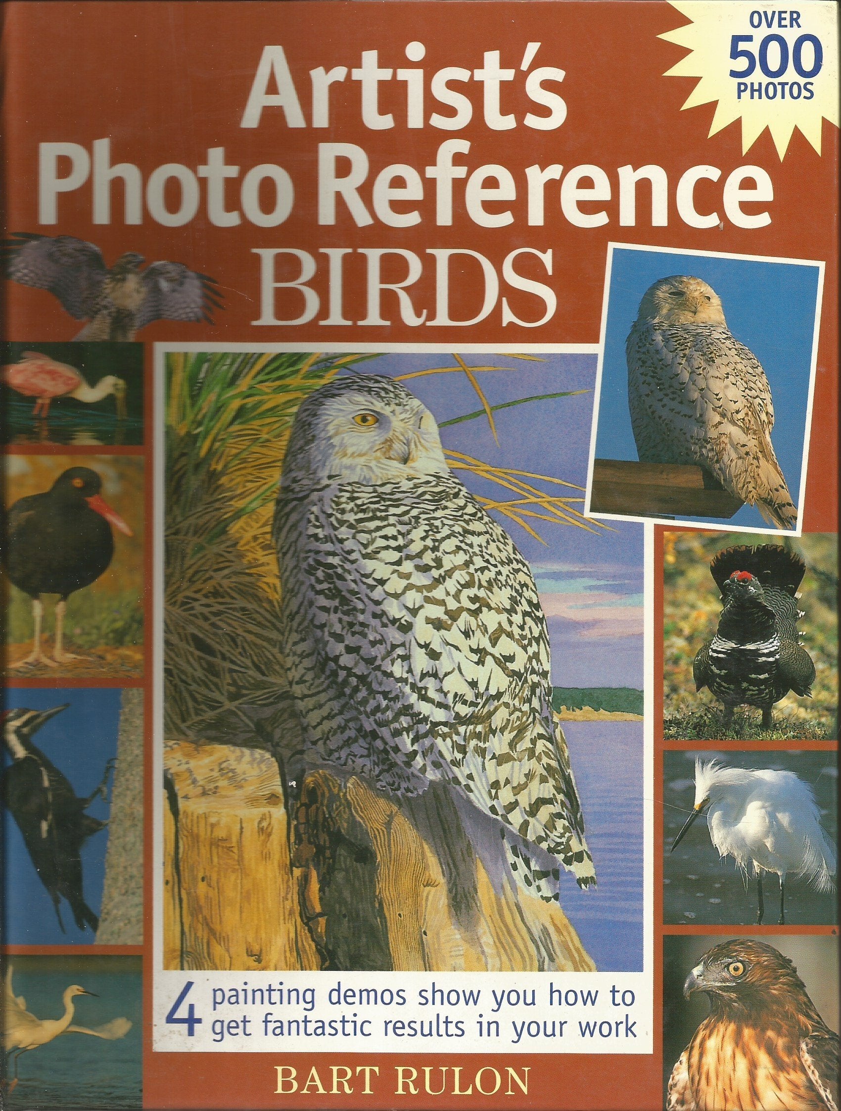 Artist's Photo Reference: Birds,Used