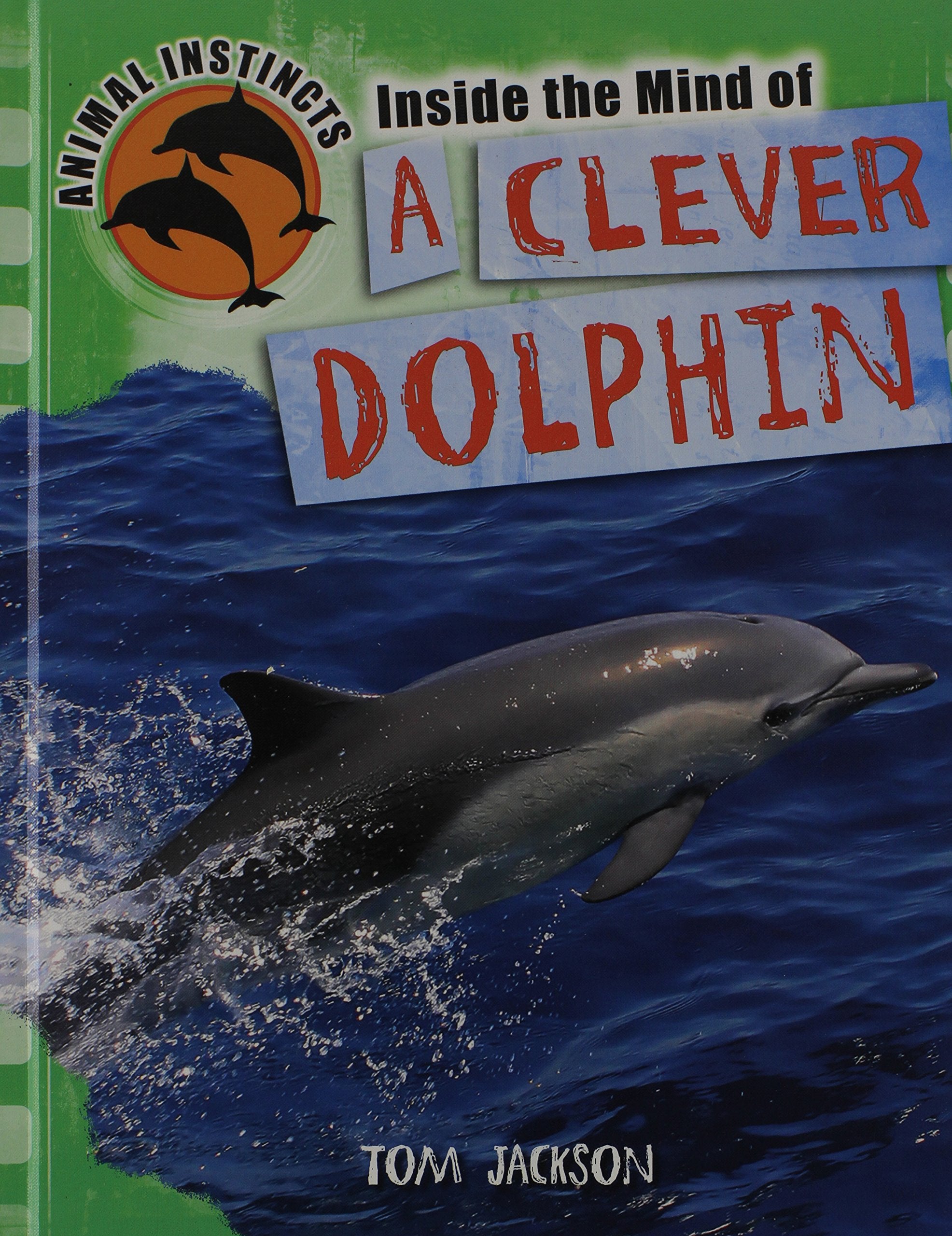 Inside The Mind Of A Clever Dolphin (Animal Instincts)