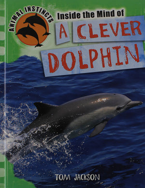 Inside The Mind Of A Clever Dolphin (Animal Instincts)