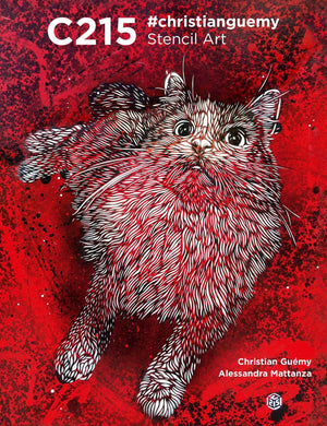 C215: Christian Guemy Stencil Art