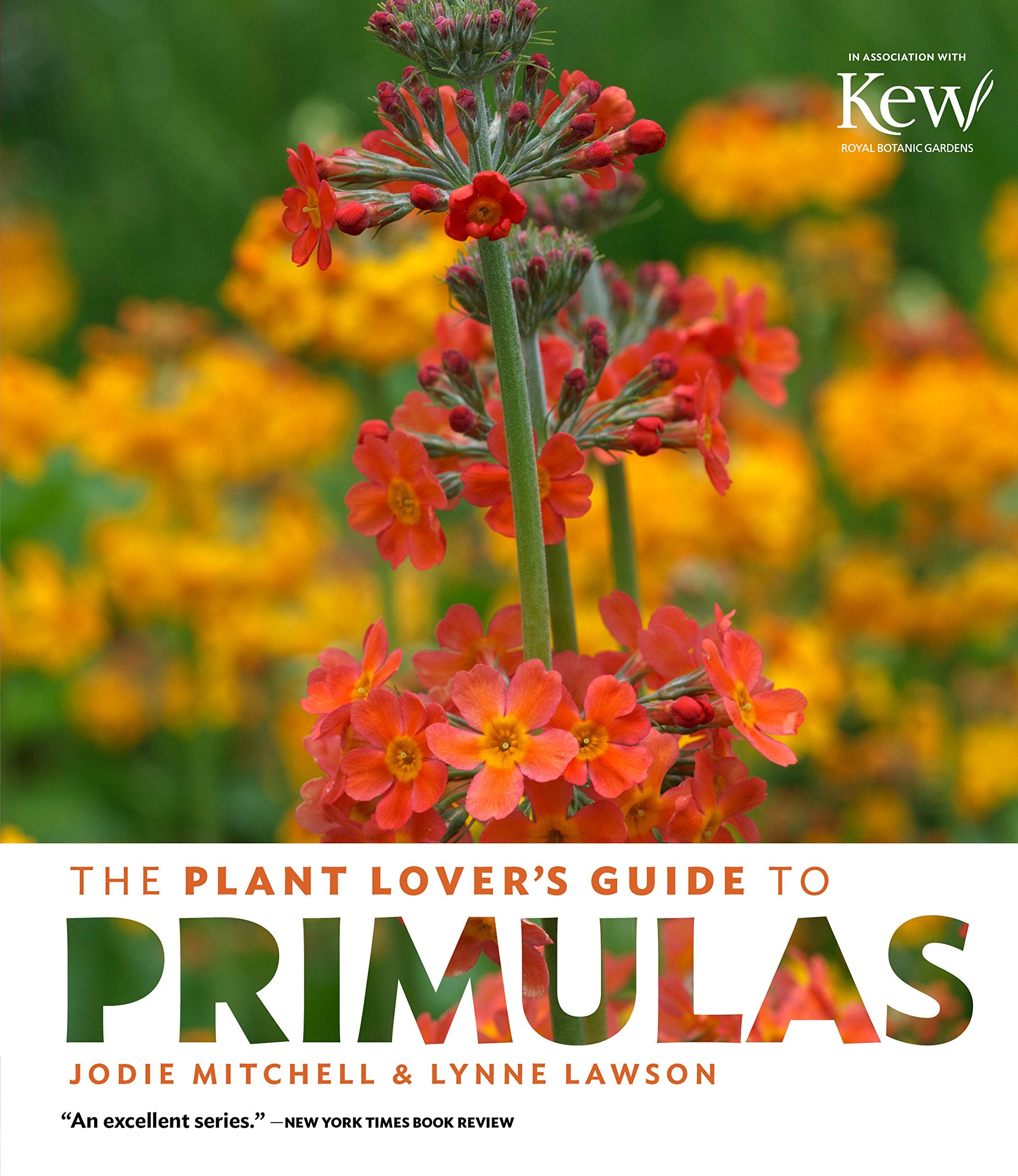 The Plant Lover'S Guide To Primulas (The Plant Lovers Guides)