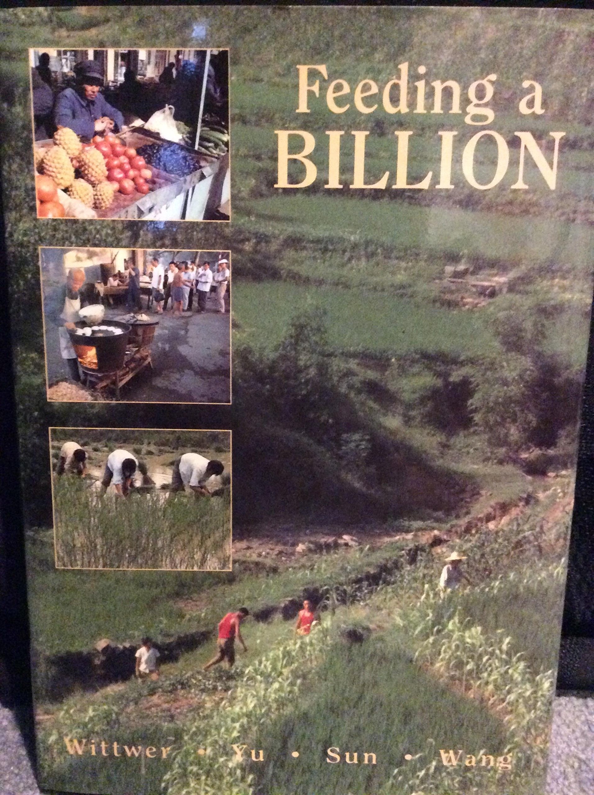 Feeding a Billion: Frontiers of Chinese Agriculture,Used