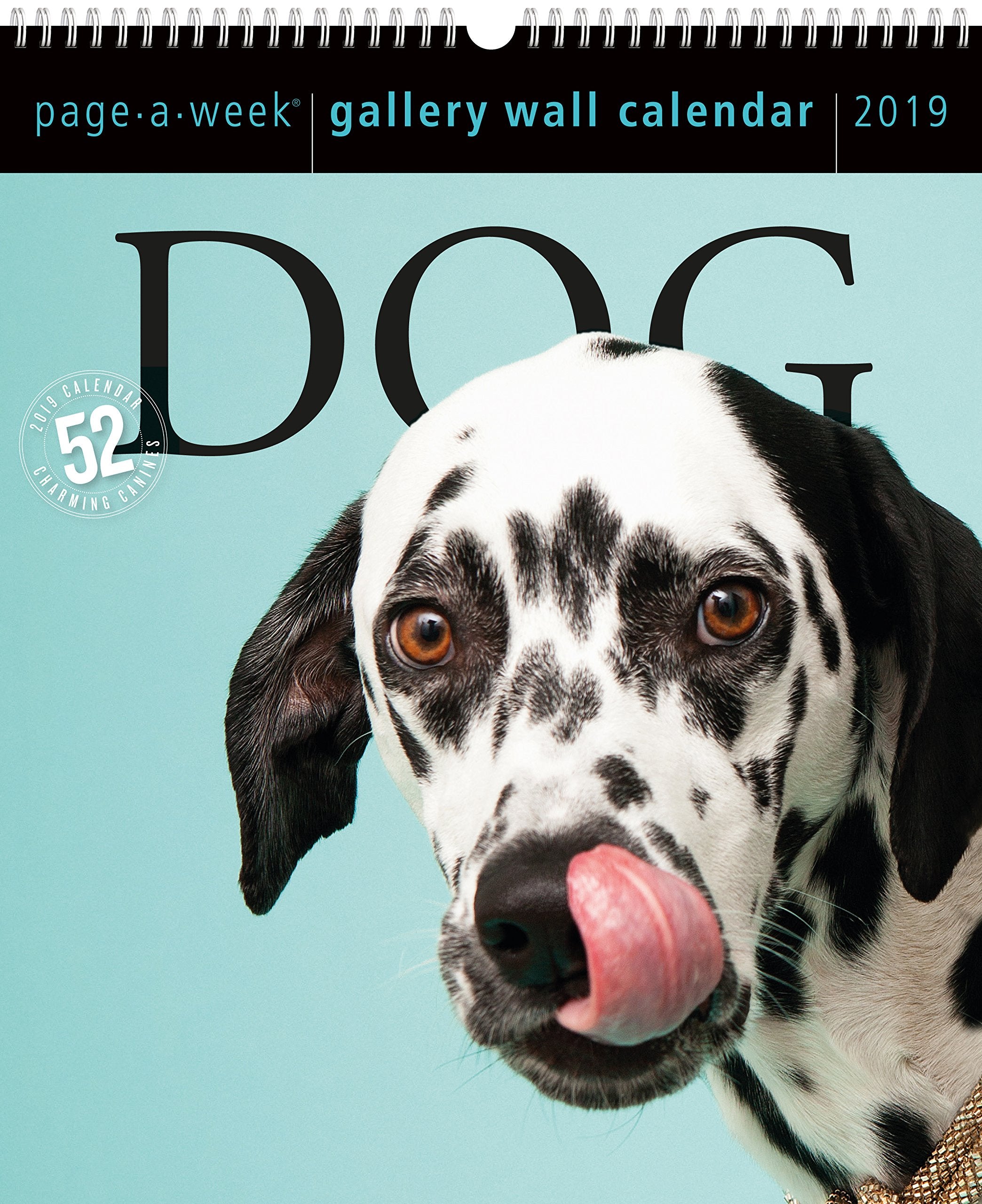 Dog PageAWeek Gallery Wall Calendar 2019,New