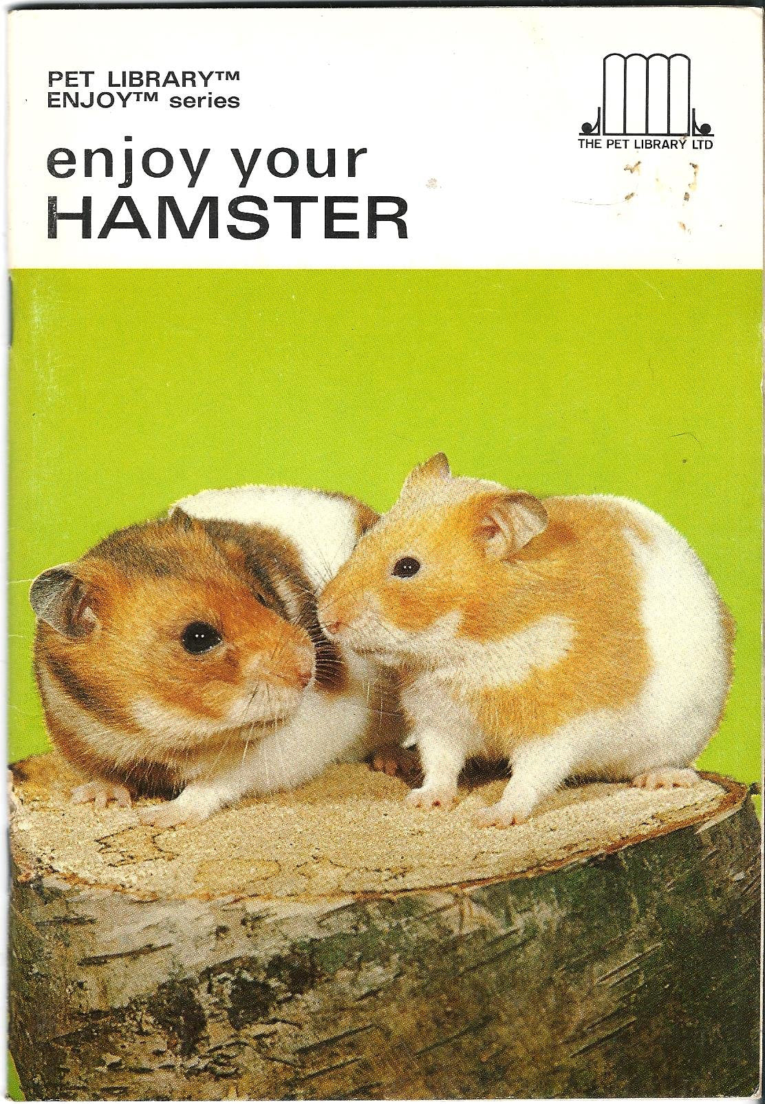 Land Hermit Crabs,Used
