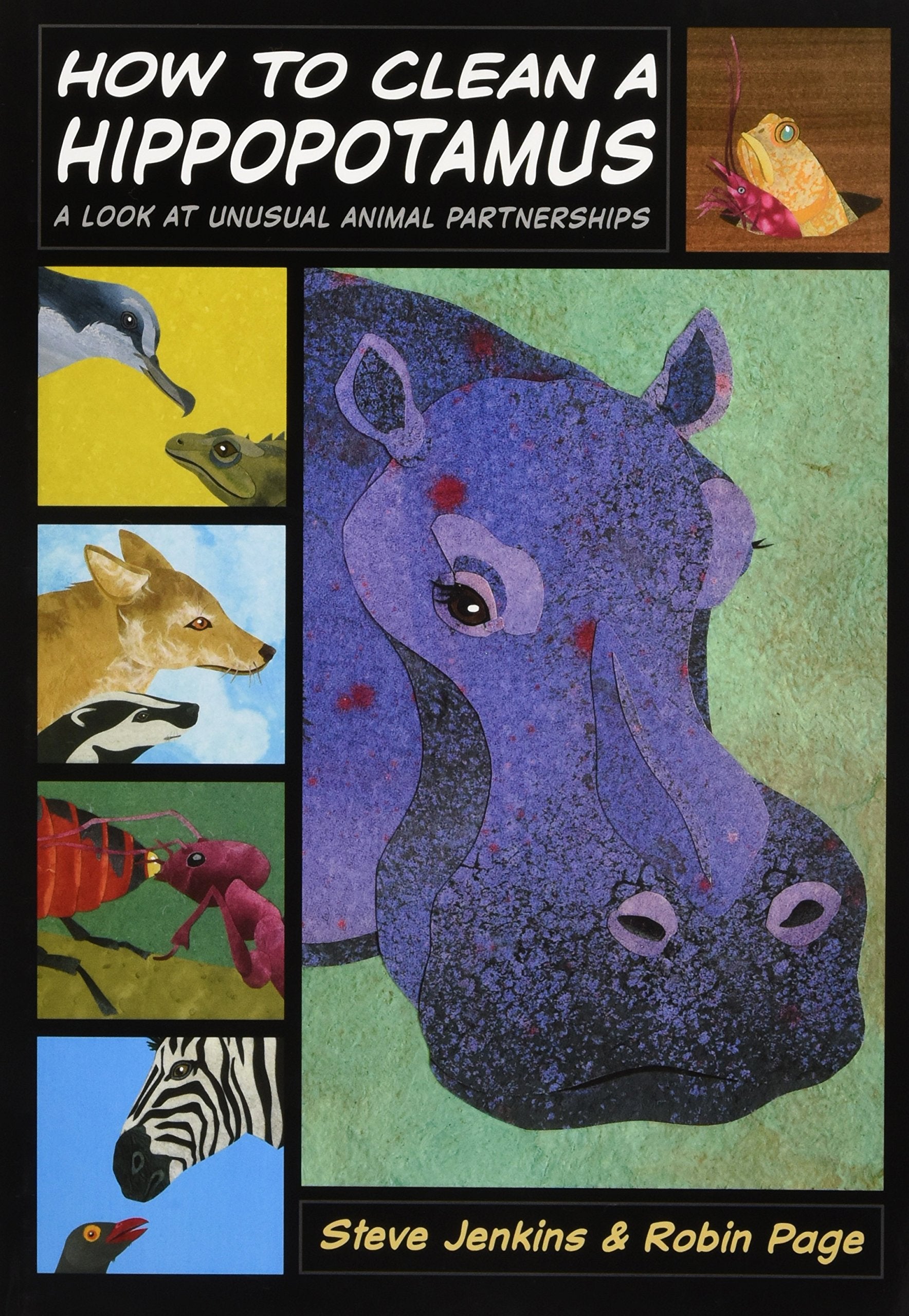 How To Clean A Hippopotamus: A Look At Unusual Animal Partnerships,Used
