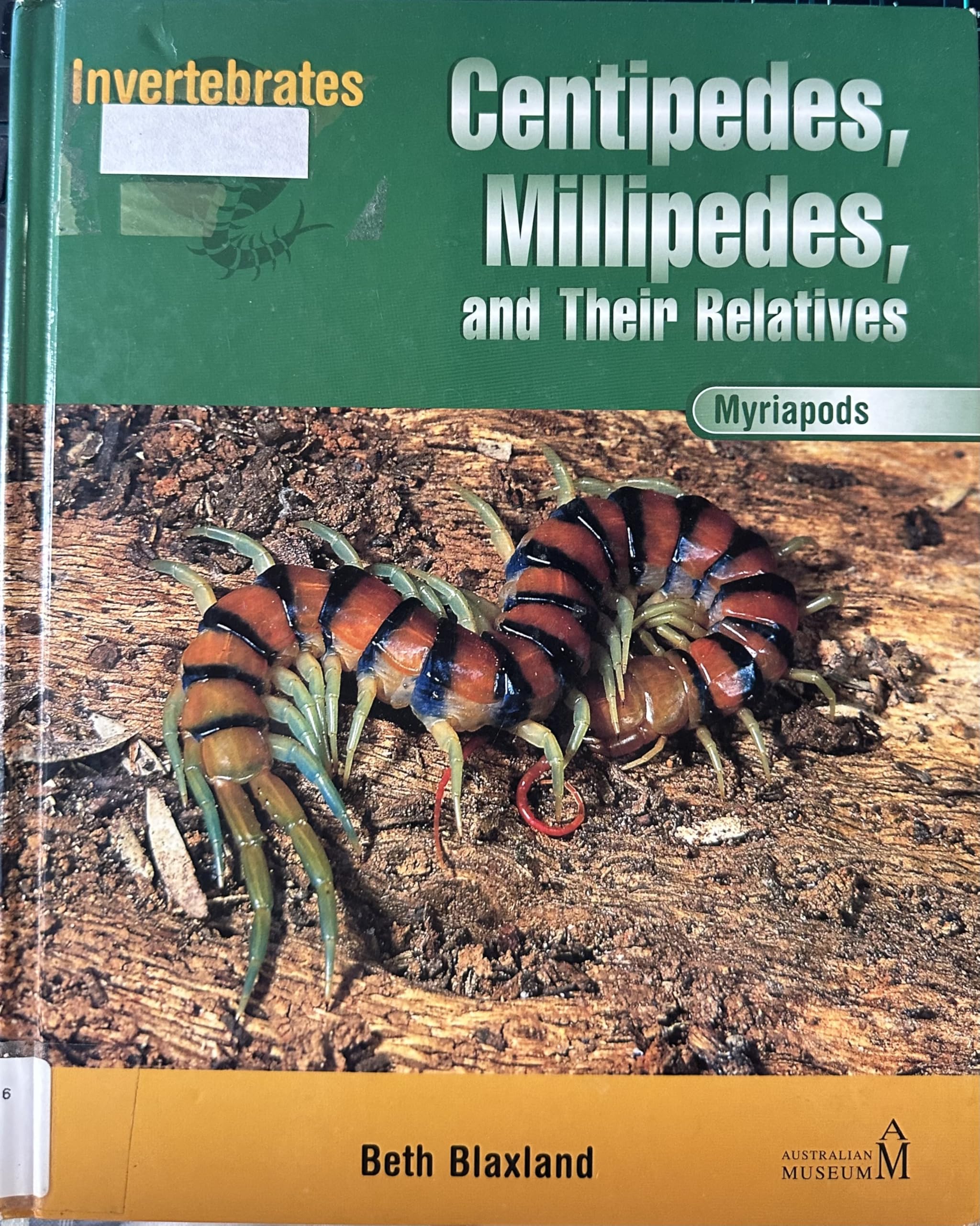 Centipedes, Millipedes, And Their Relatives: Myriapods (Invertebrates),Used