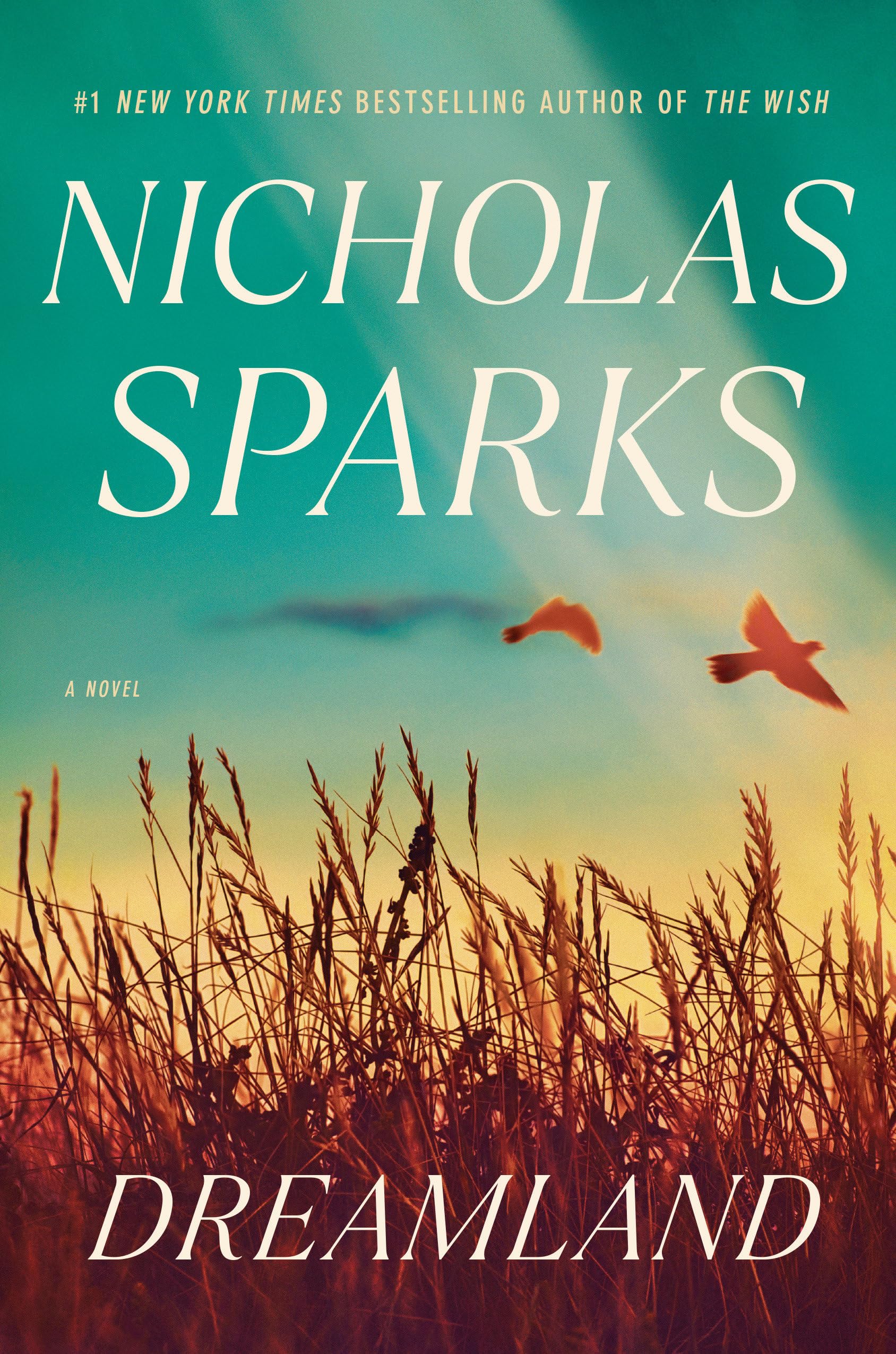 Dreamland: A Novel,Used