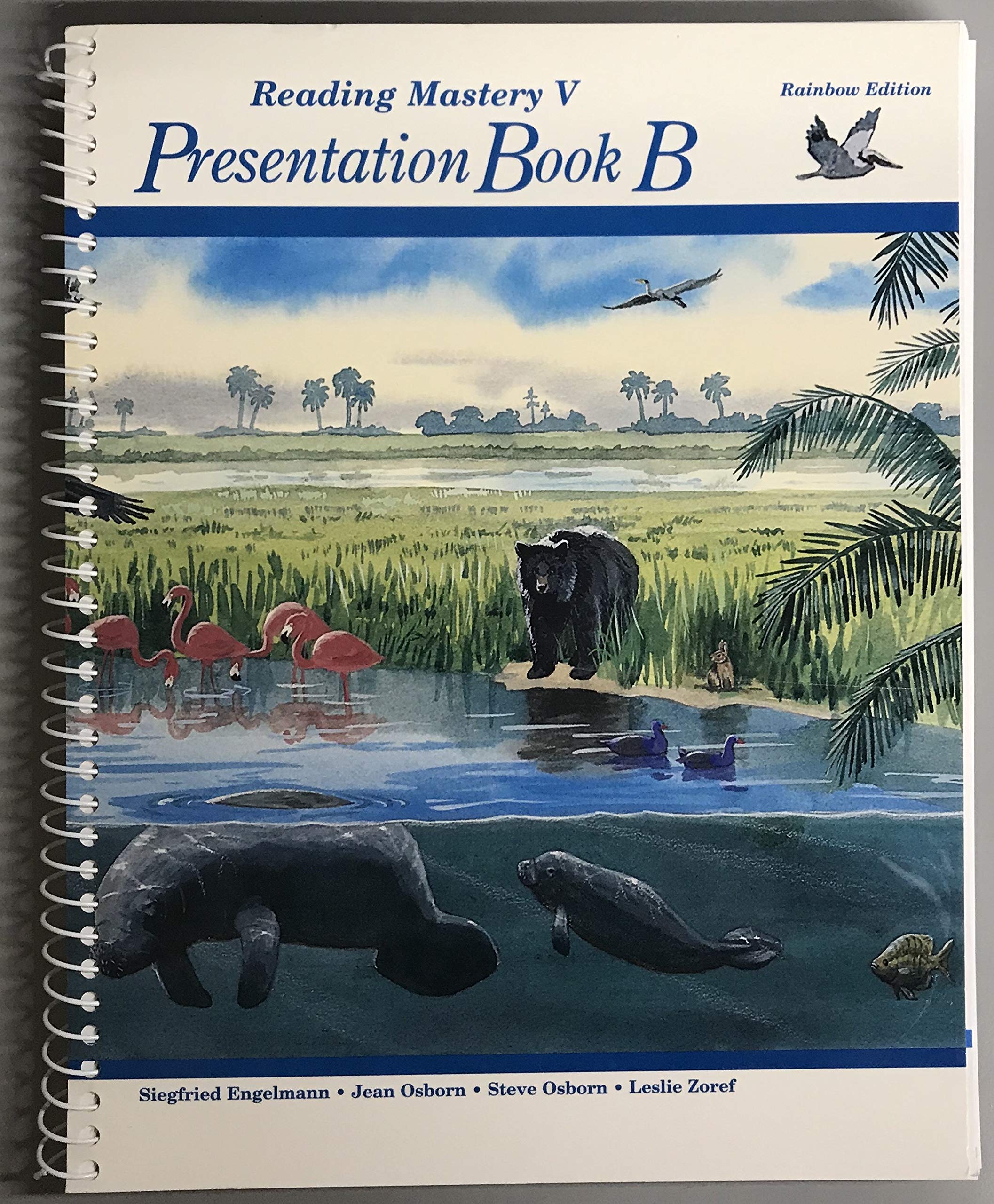 Reading Mastery V 1995 Rainbow Edition: Teacher Presentation Book B,Used