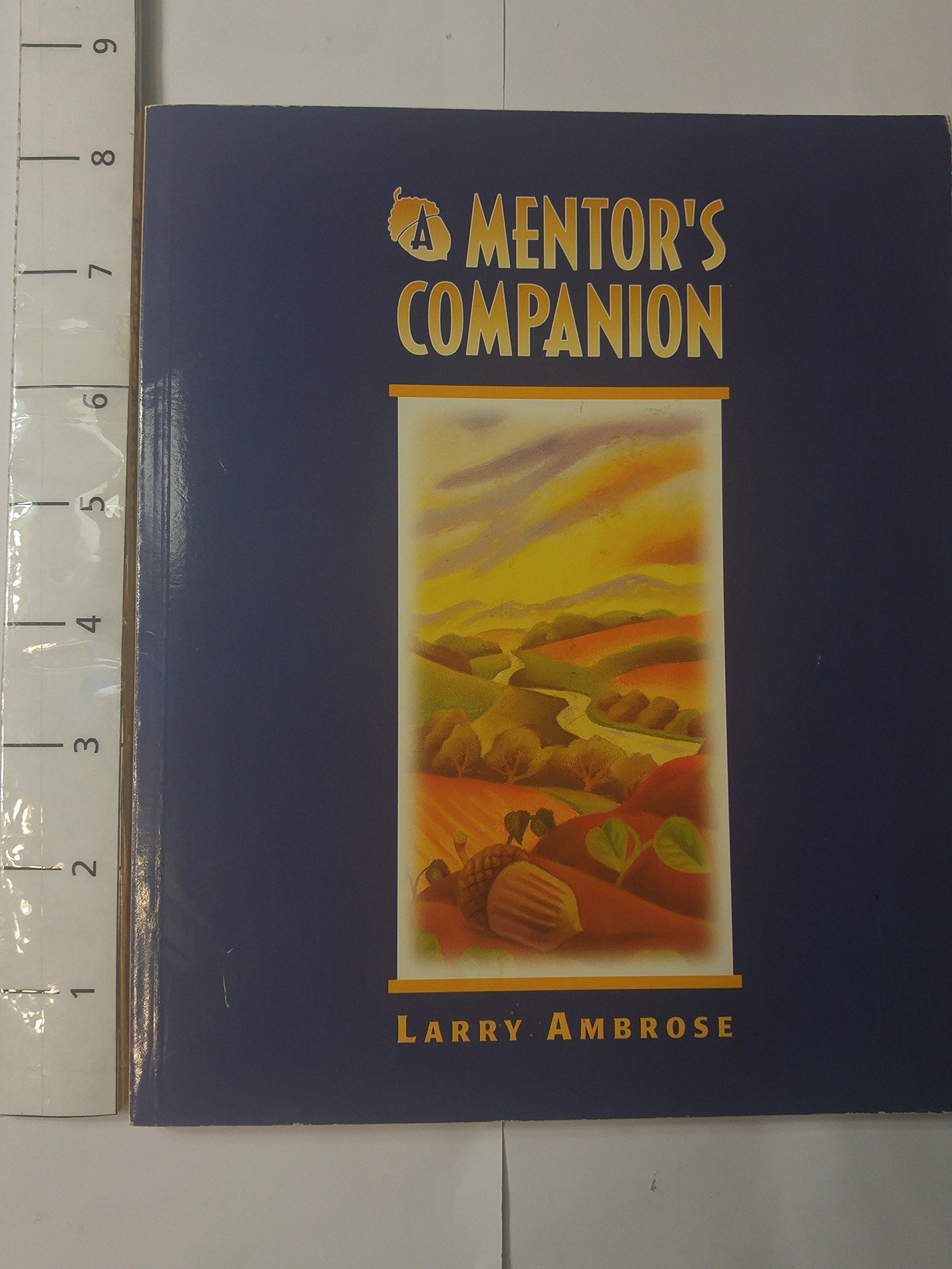 A Mentor's Companion,Used