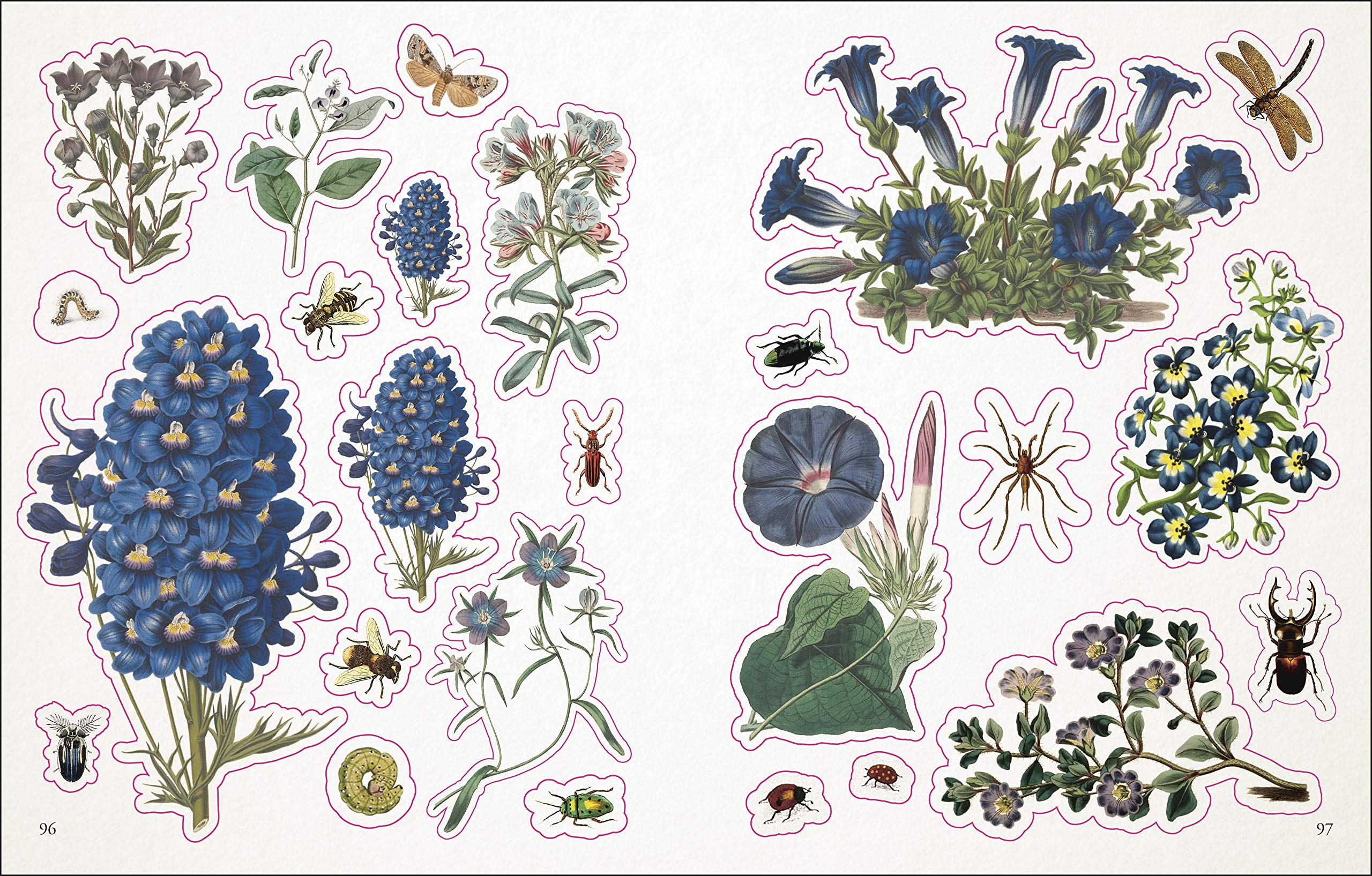The Botanist'S Sticker Anthology (Dk Sticker Anthology),New