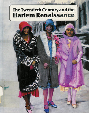 The Twentieth Century and the Harlem Renaissance: A History of Black People in America, 18801930 (African American History),Used