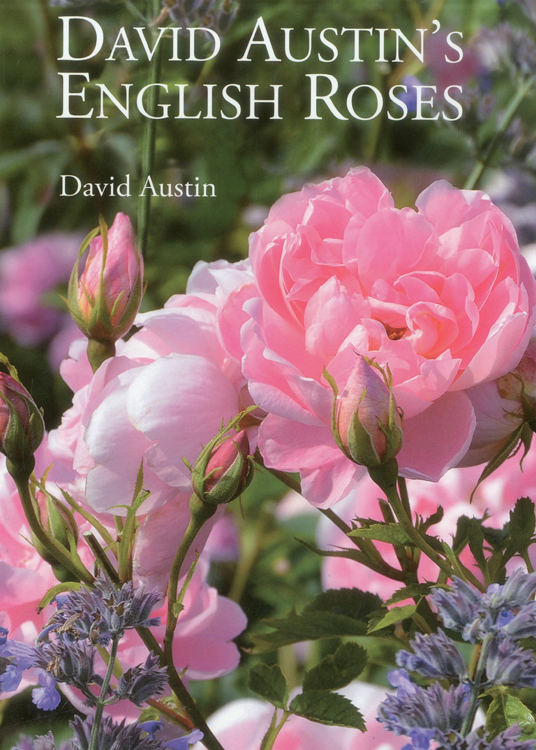 David Austin'S English Roses,Used