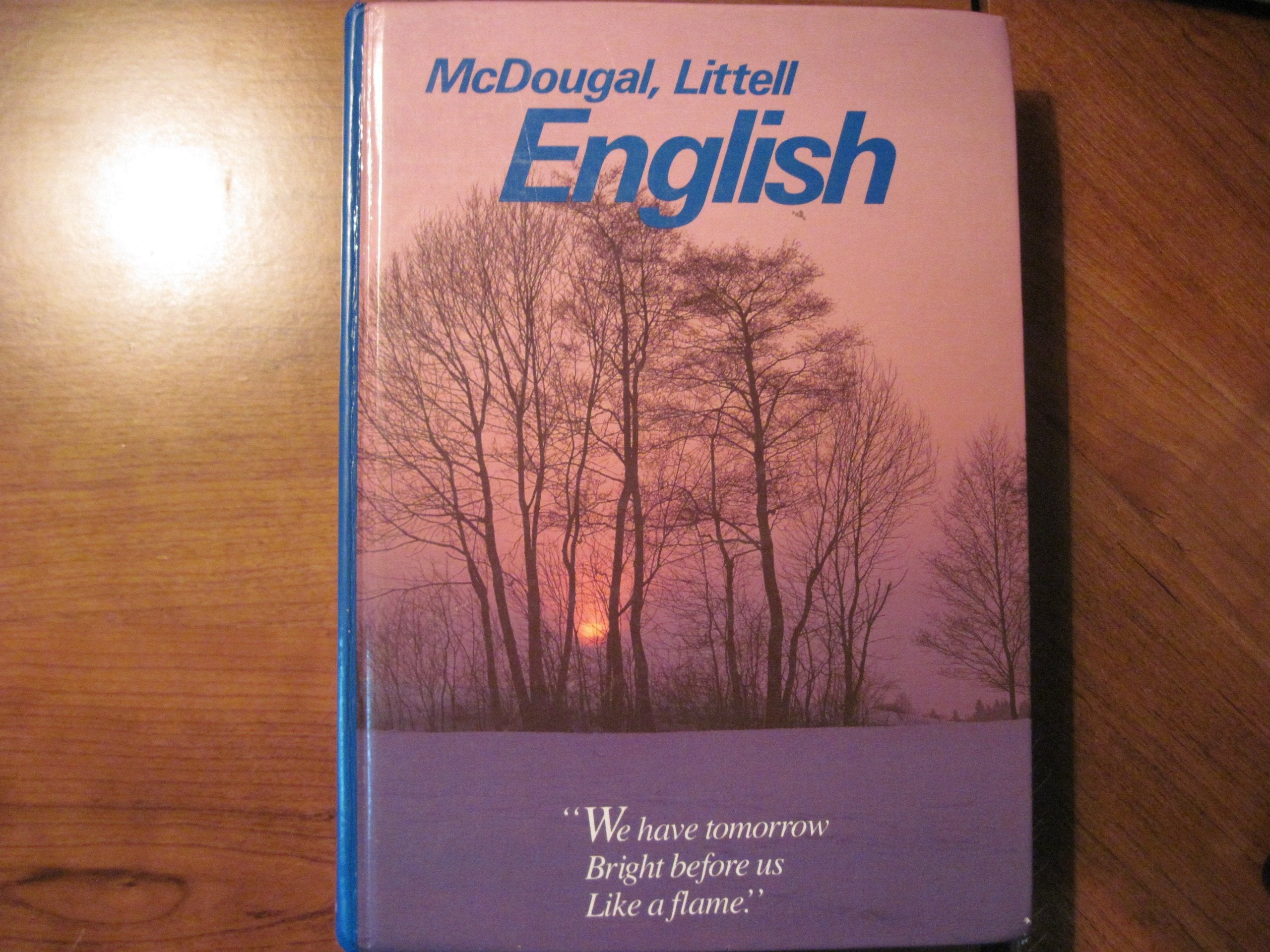 Mcdougal, Littell English Blue Level,Used