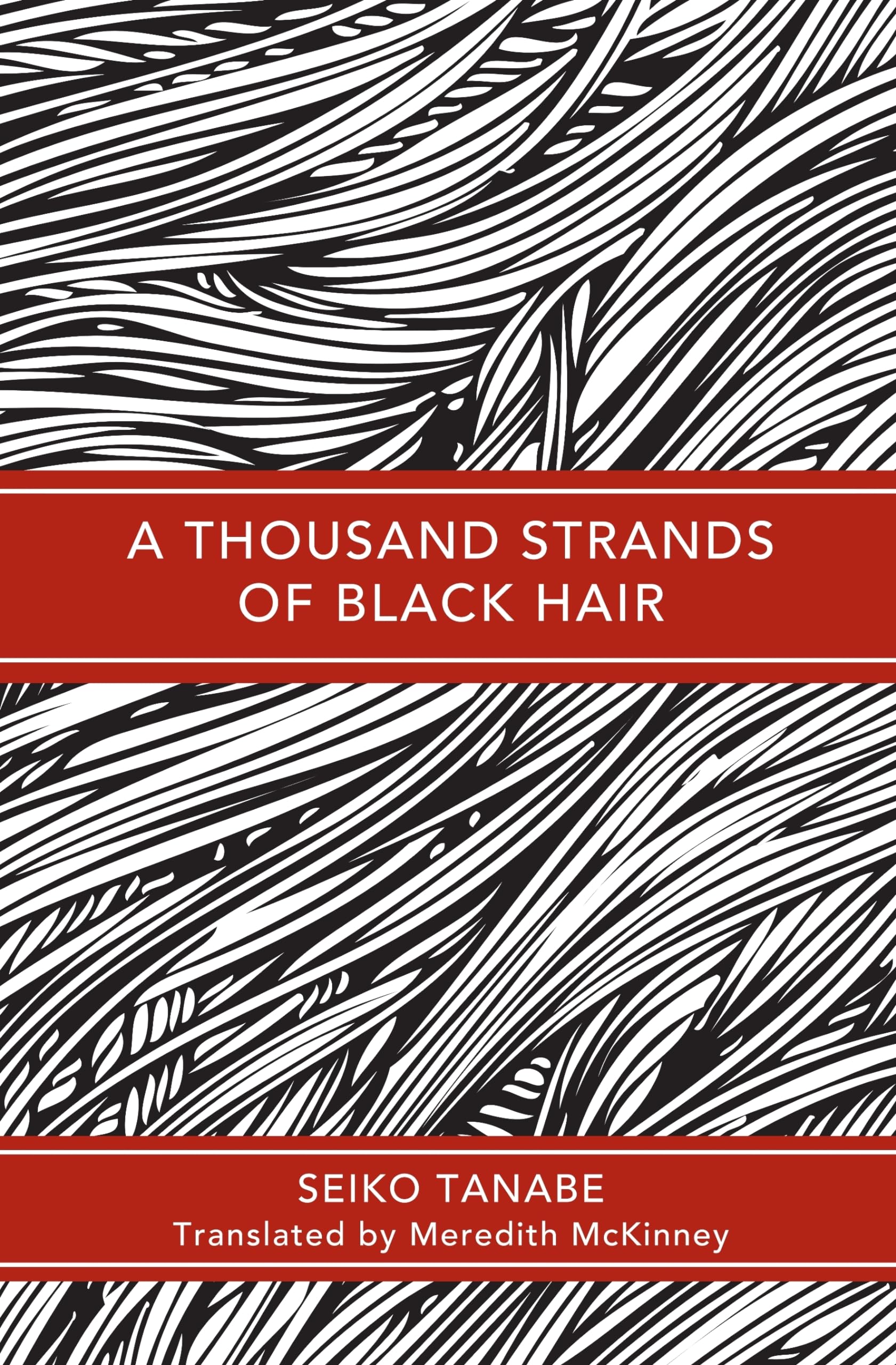 A Thousand Strands of Black Hair,Used