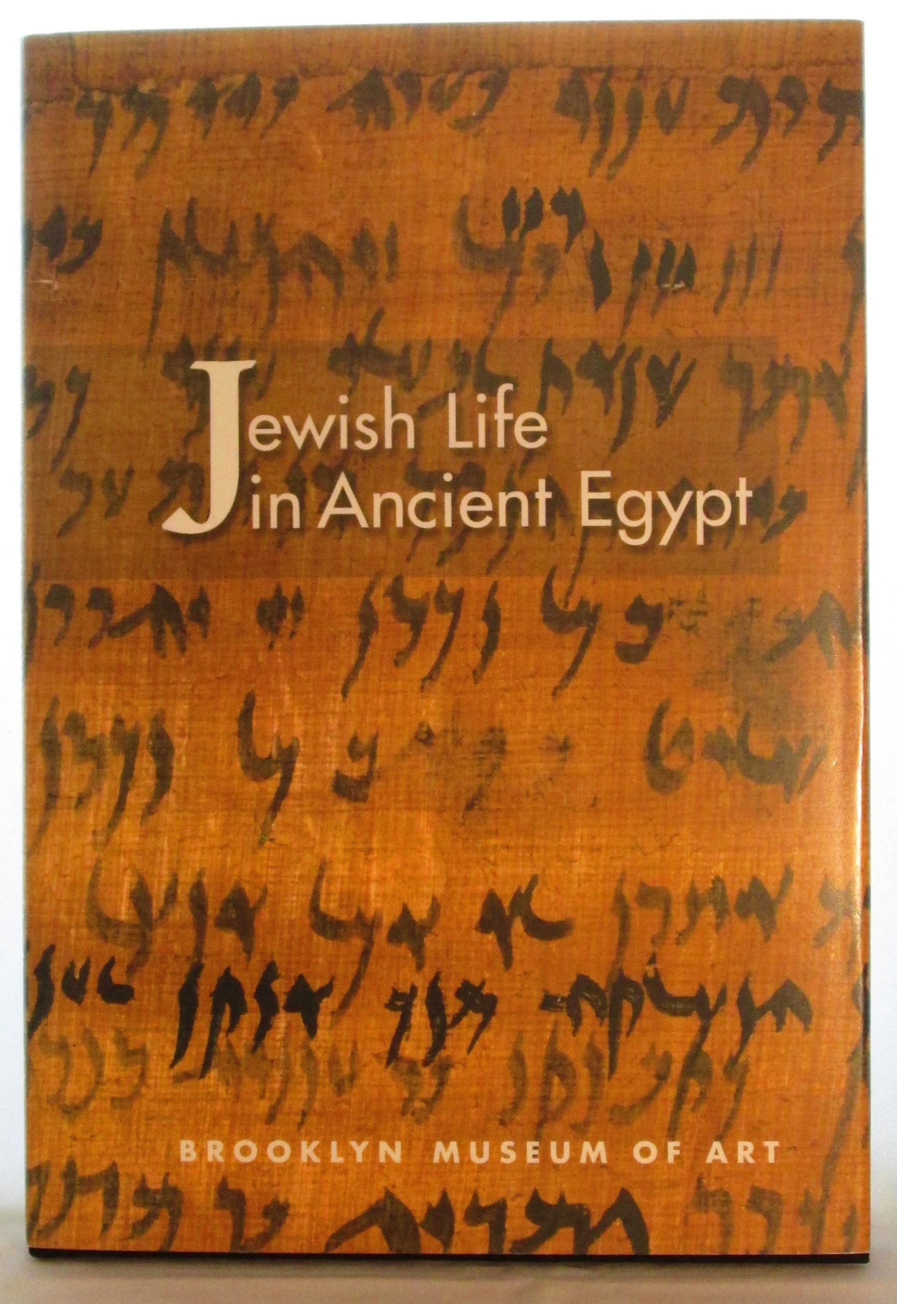 Jewish life in ancient Egypt: A family archive from the Nile Valley,Used