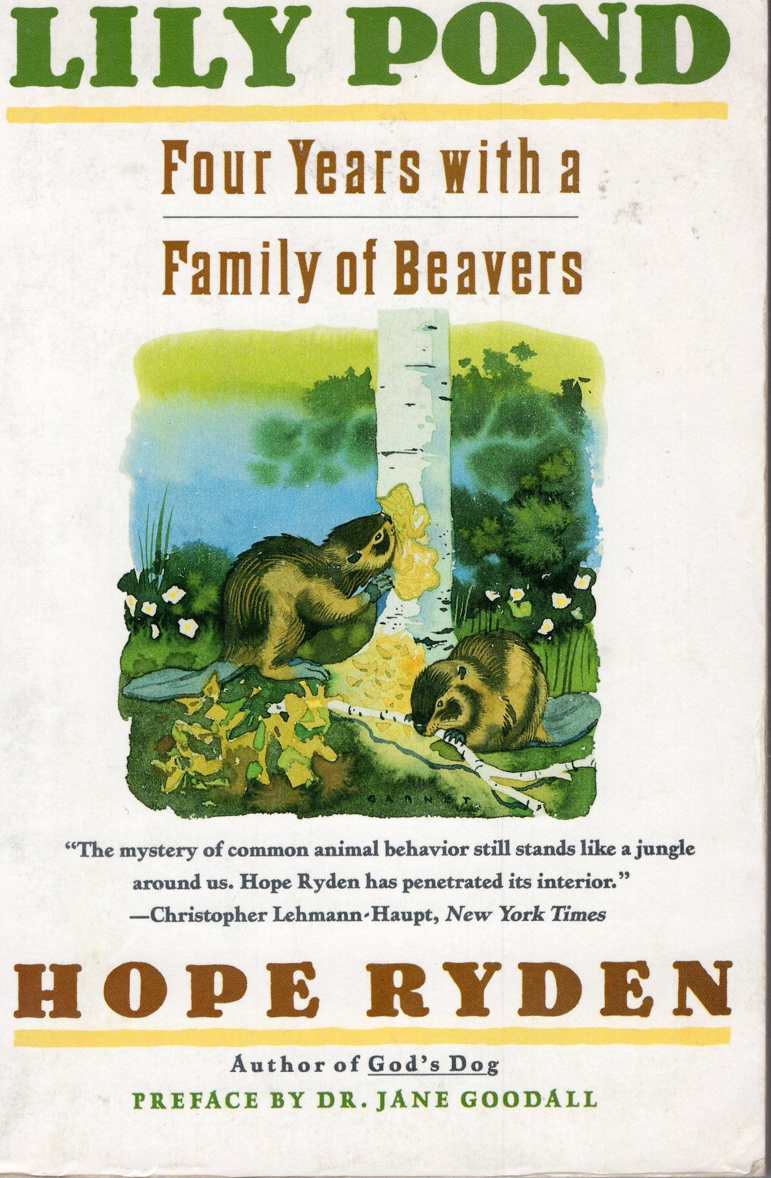 Lily Pond: Four Years With a Family of Beavers,Used