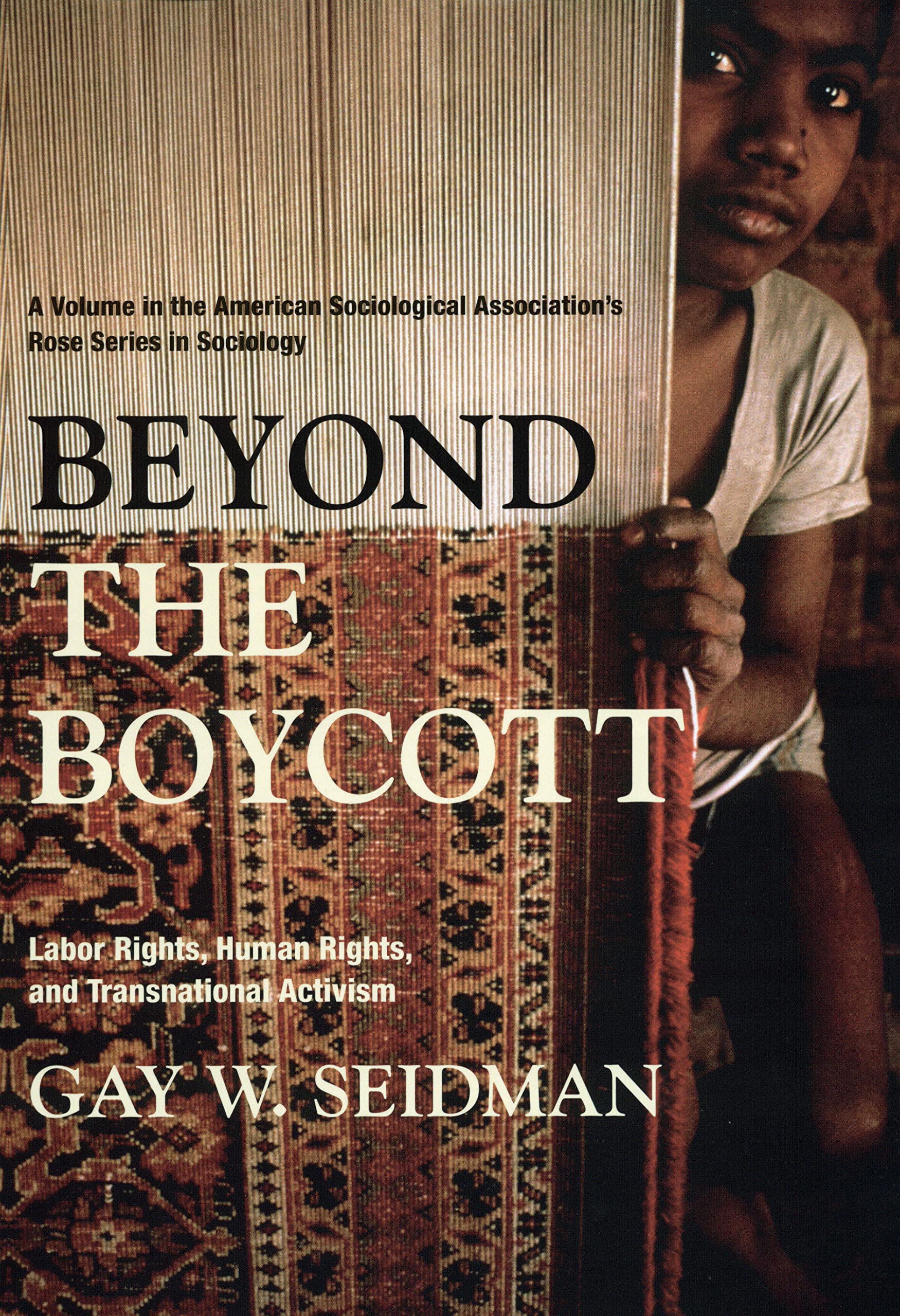 Beyond the Boycott: Labor Rights, Human Rights, and Transnational Activism (American Sociological Association's Rose Series),Used
