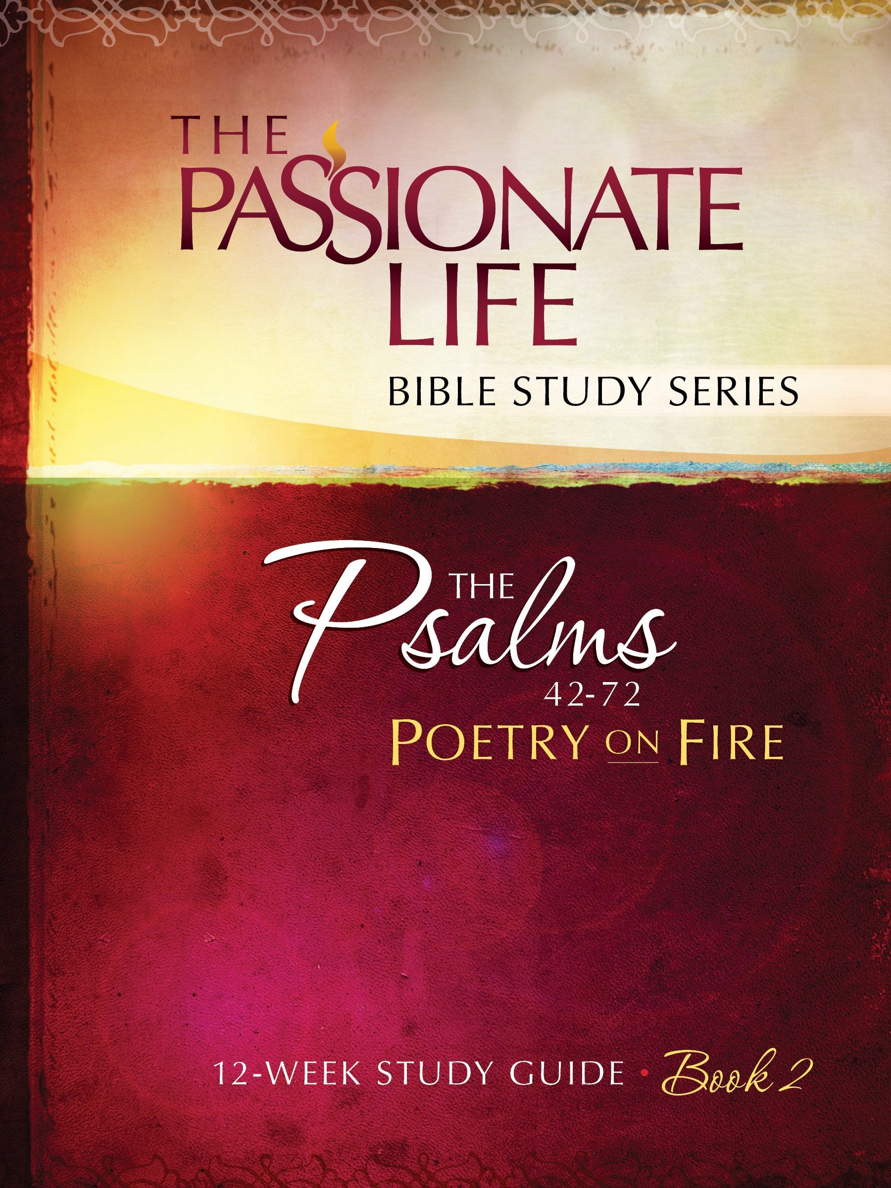 The Psalms 4272 Poetry on Fire, Book 2: 12Week Study Guide (The Passionate Life Bible Study),Used