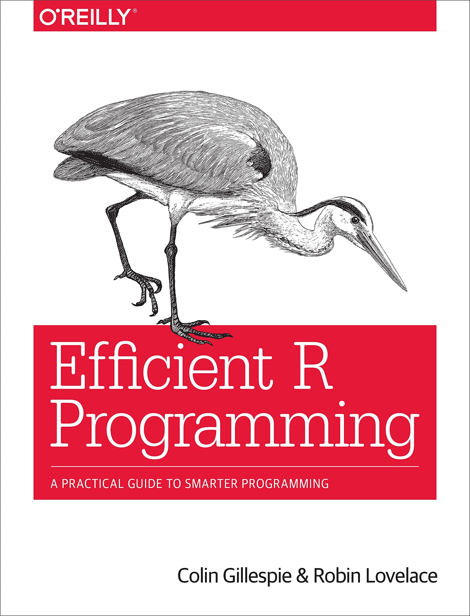 Efficient R Programming: A Practical Guide to Smarter Programming,Used