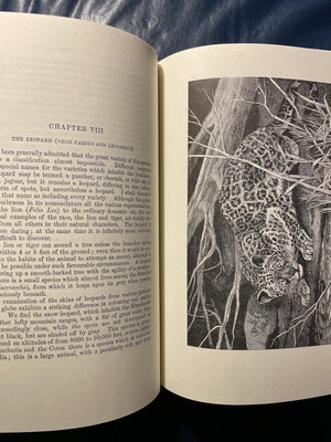 Wild Beasts and Their Ways,Used
