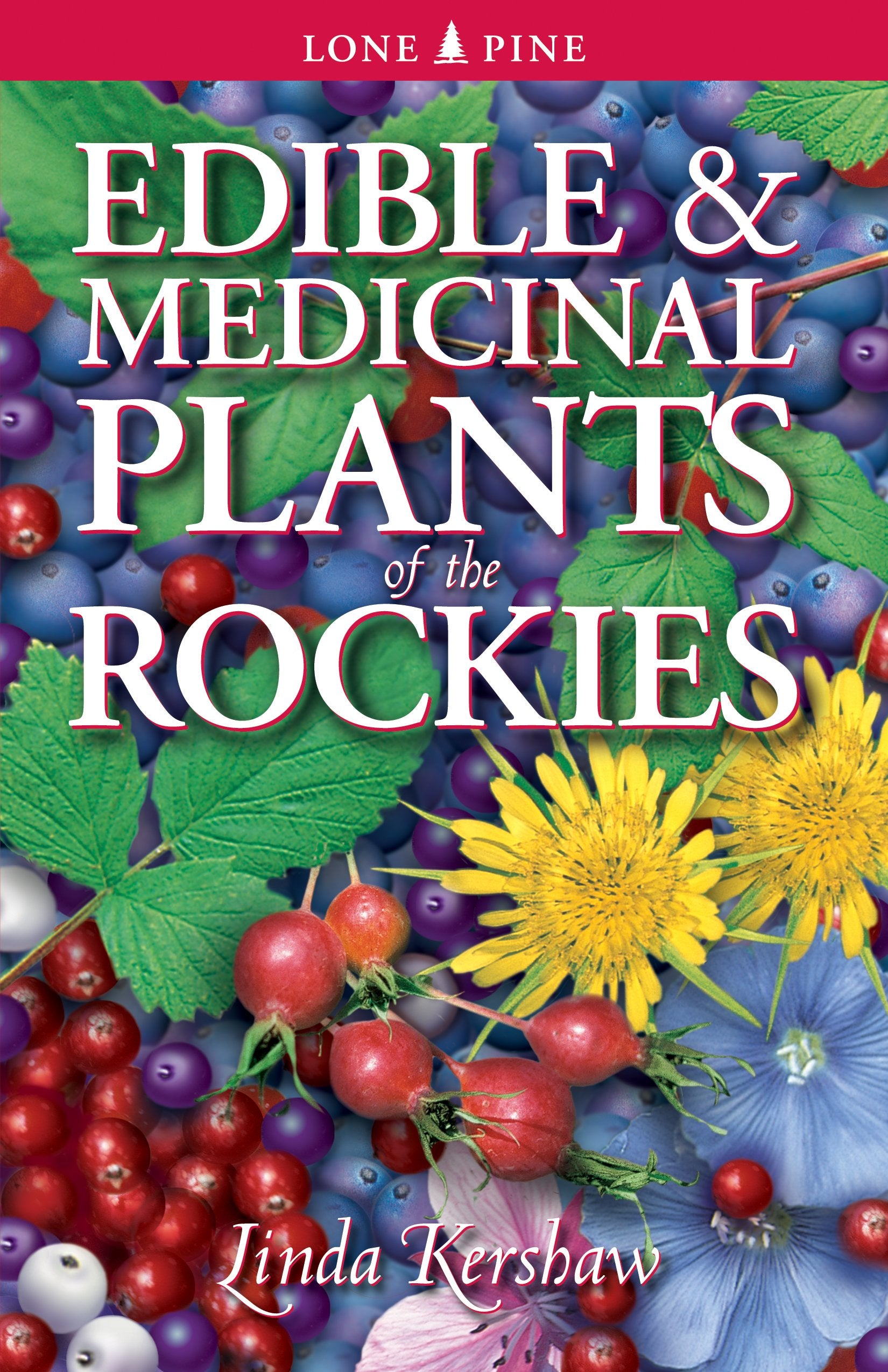Edible and Medicinal Plants of the Rockies,Used