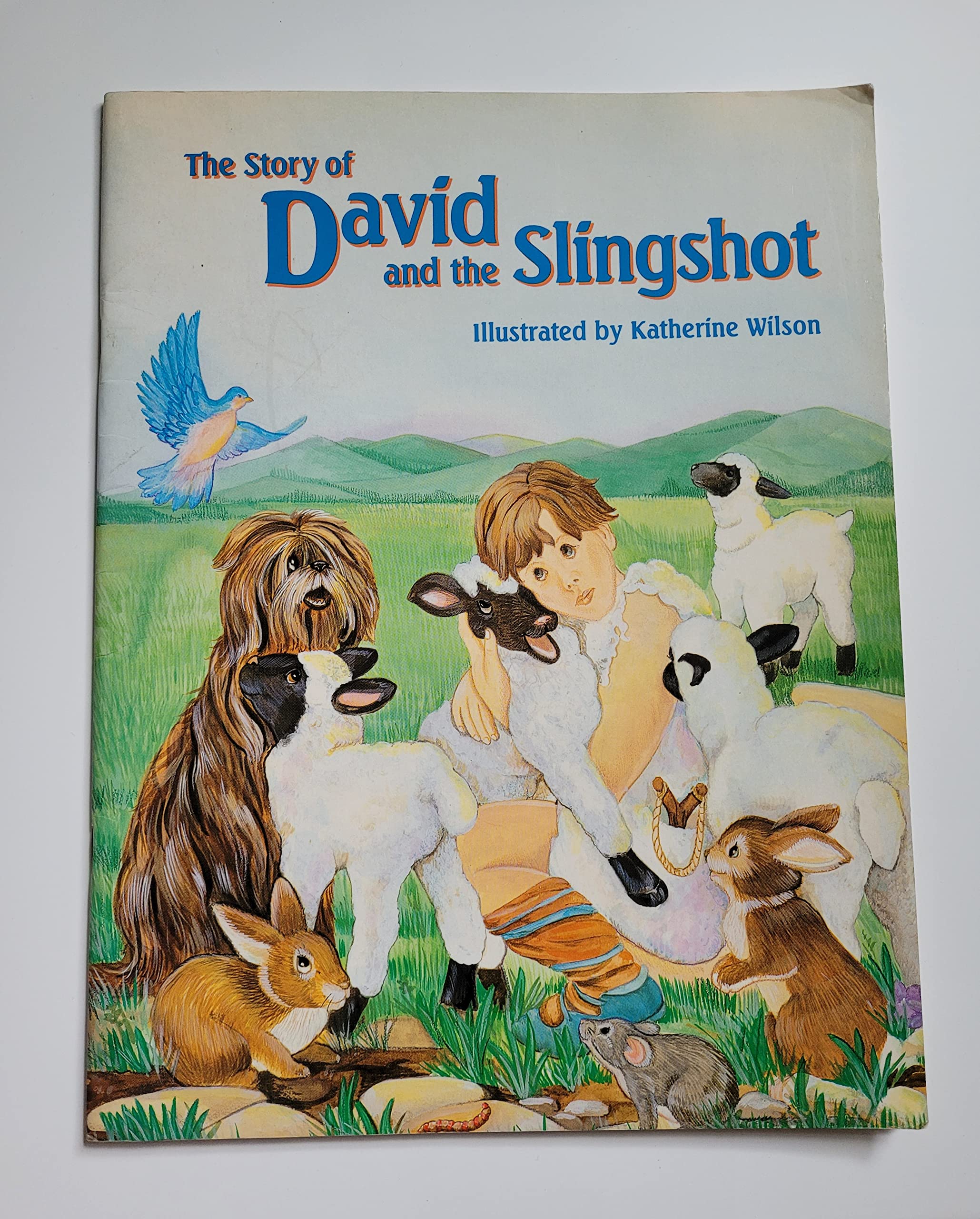 Story of David and the Slingshot,Used