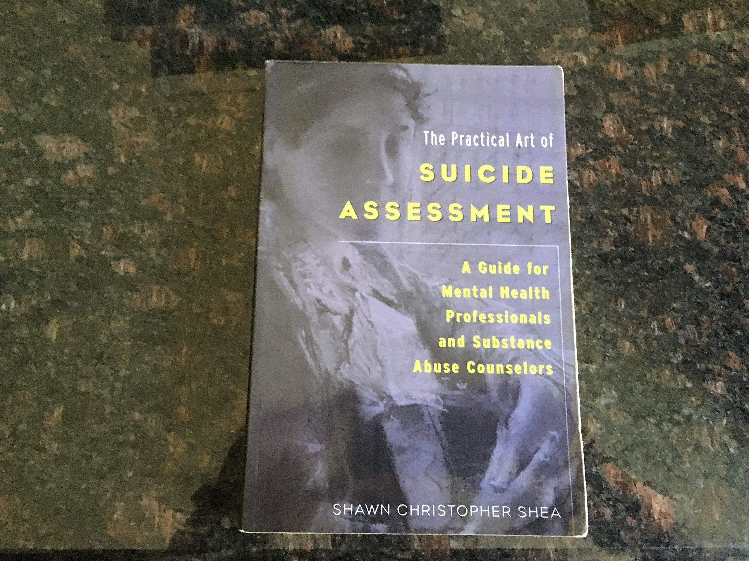 The Practical Art Of Suicide Assessment: A Guide For Mental Health Professionals And Substance Abuse Counselors,New